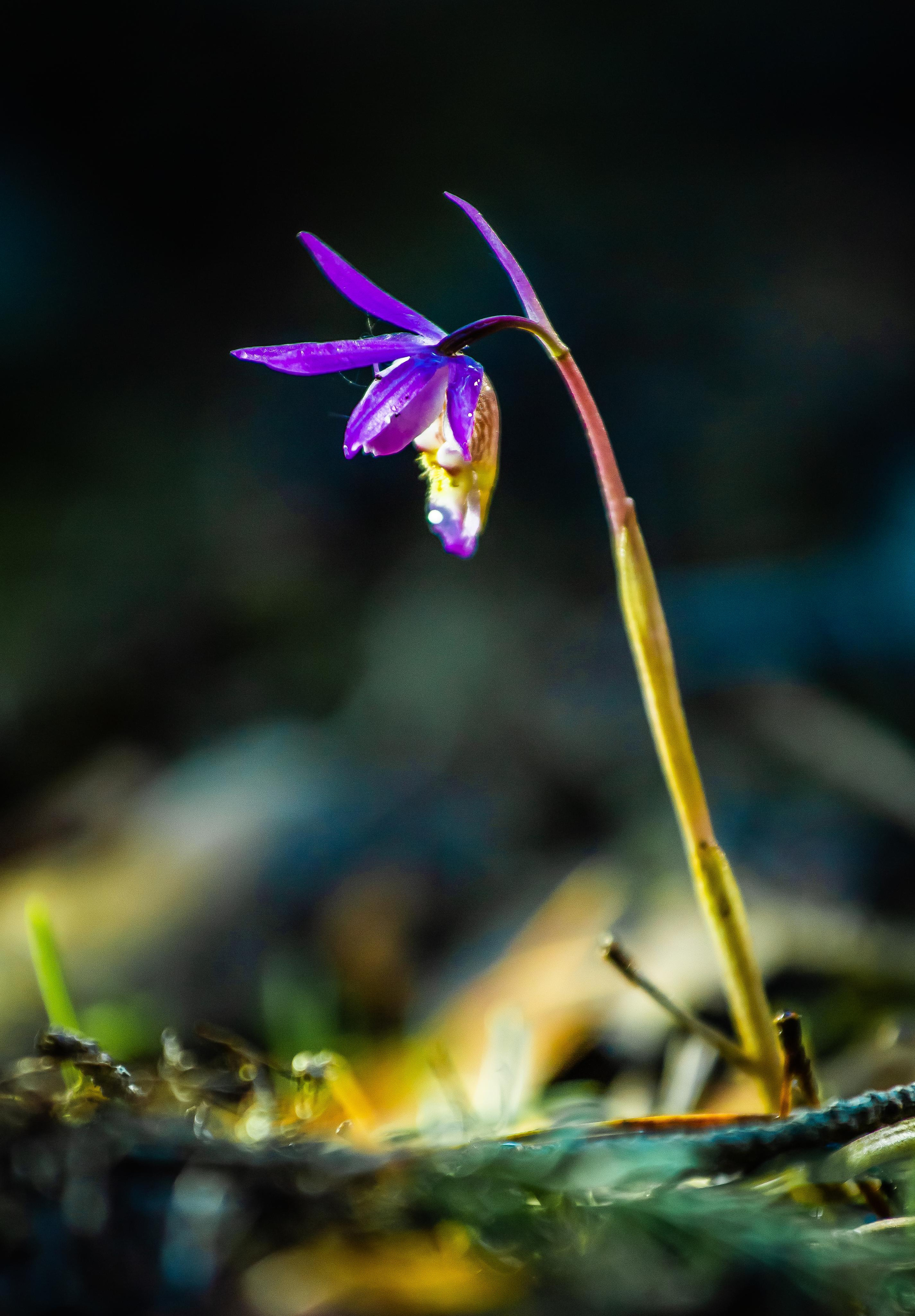 Северный Урал. Авторские туры с профессиональным фотографом