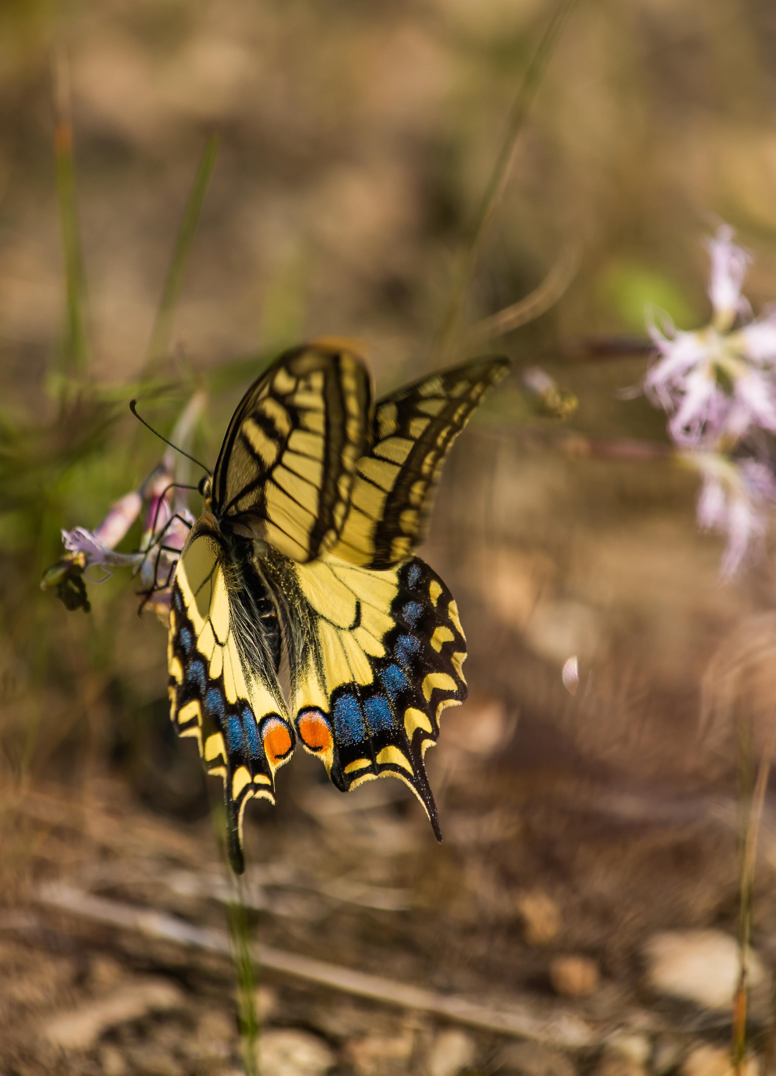 Северный Урал. Авторские туры с профессиональным фотографом