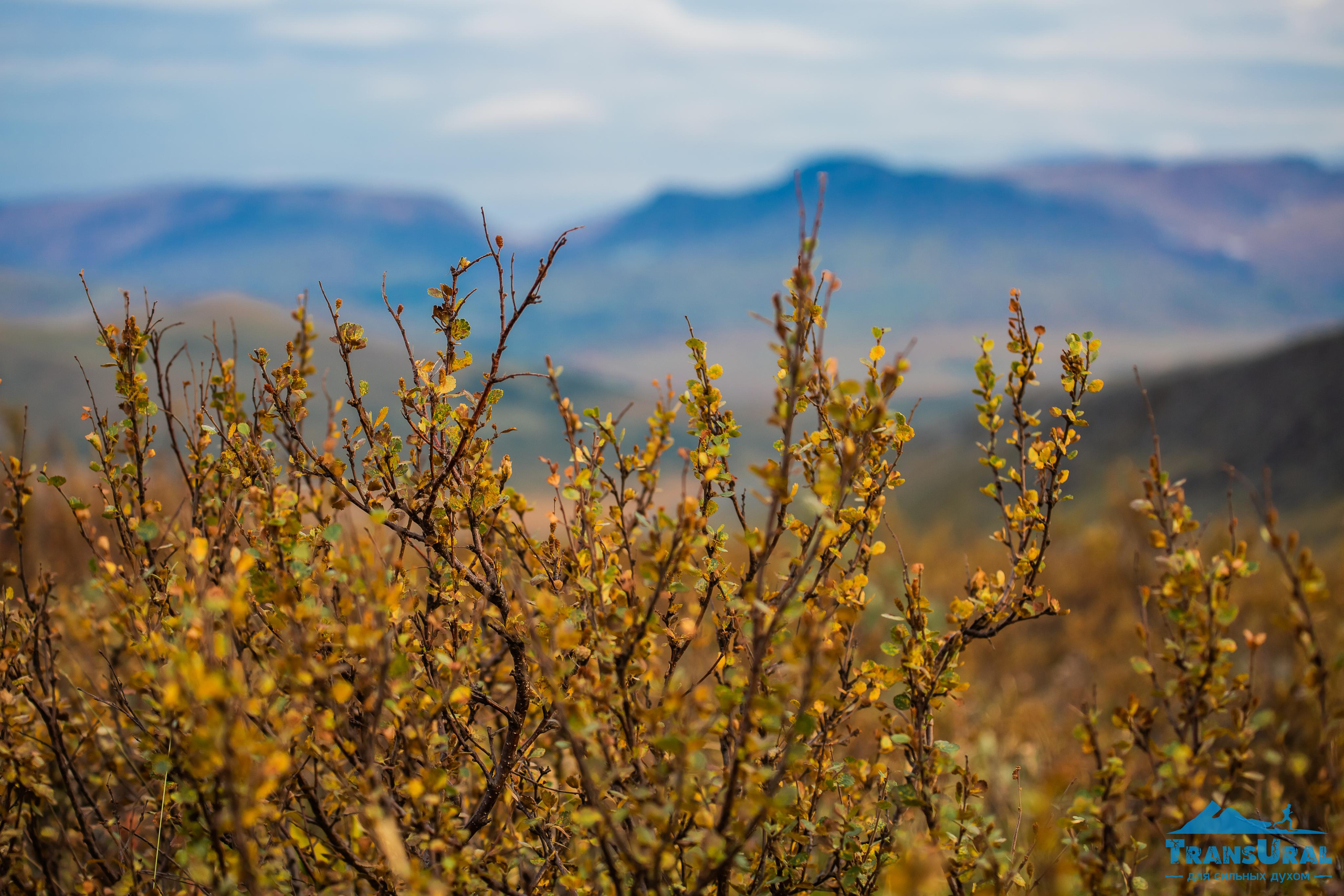 Полярный Урал. Авторские туры с профессиональным фотографом