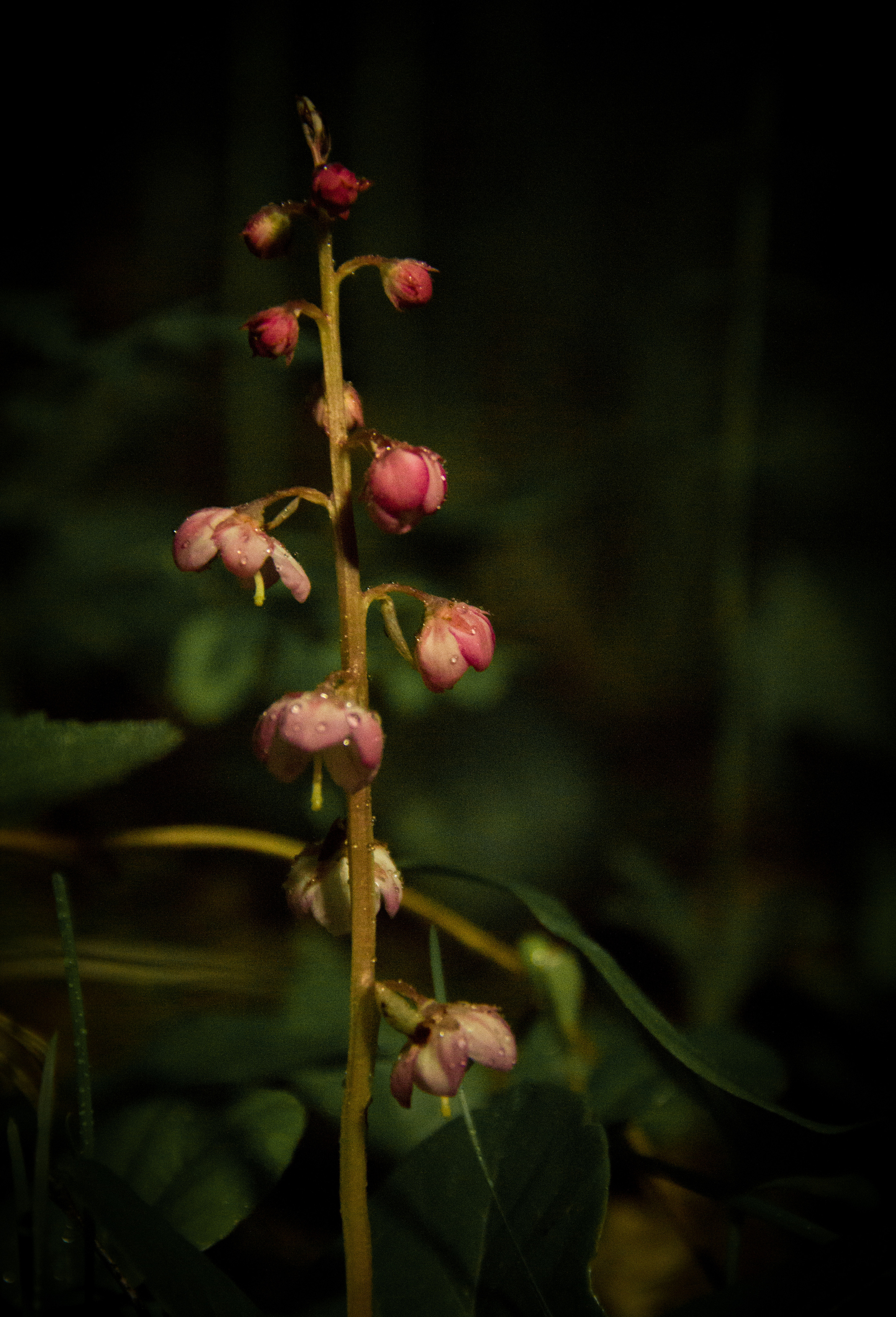 Северный Урал. Авторские туры с профессиональным фотографом