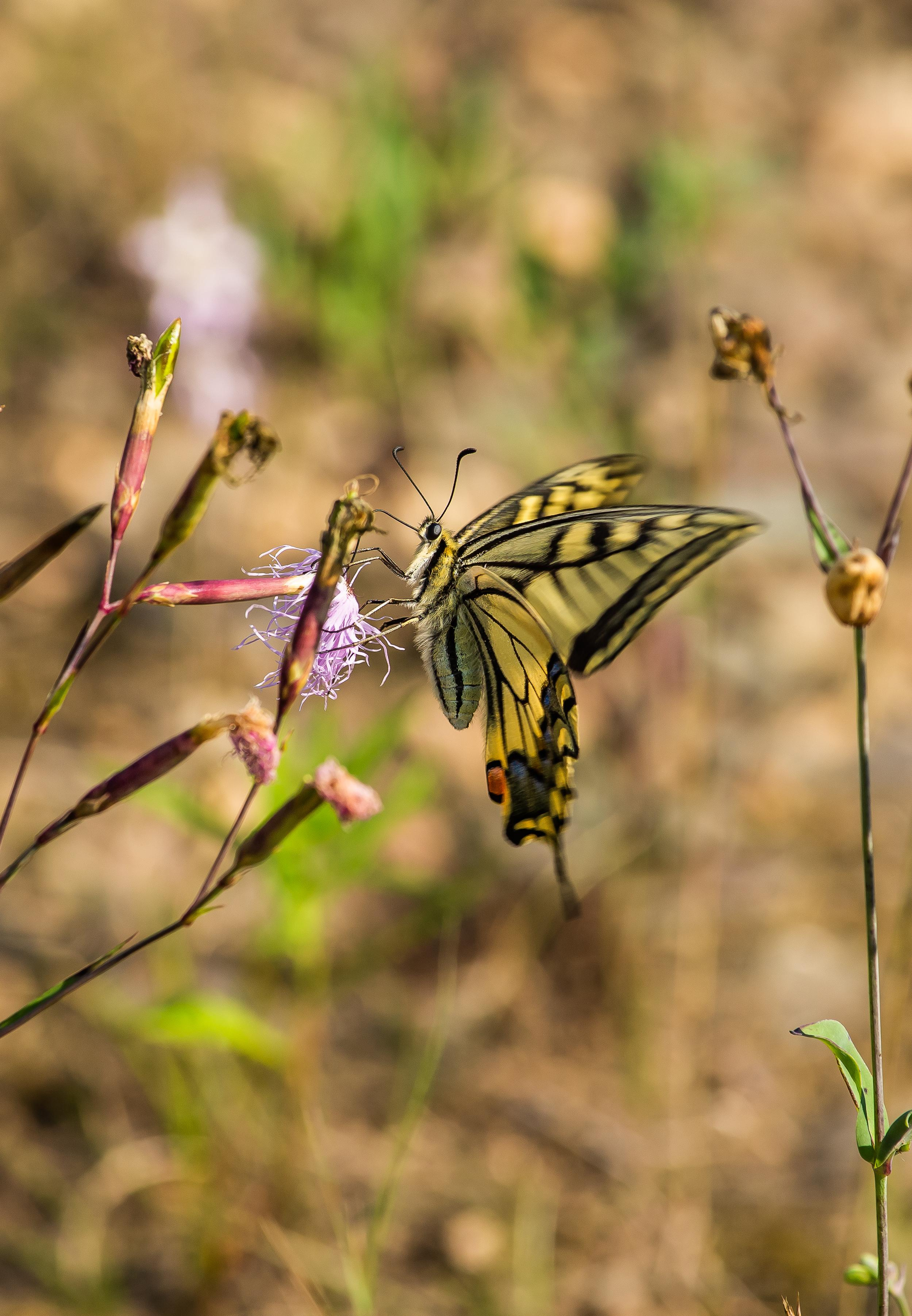 Северный Урал. Авторские туры с профессиональным фотографом