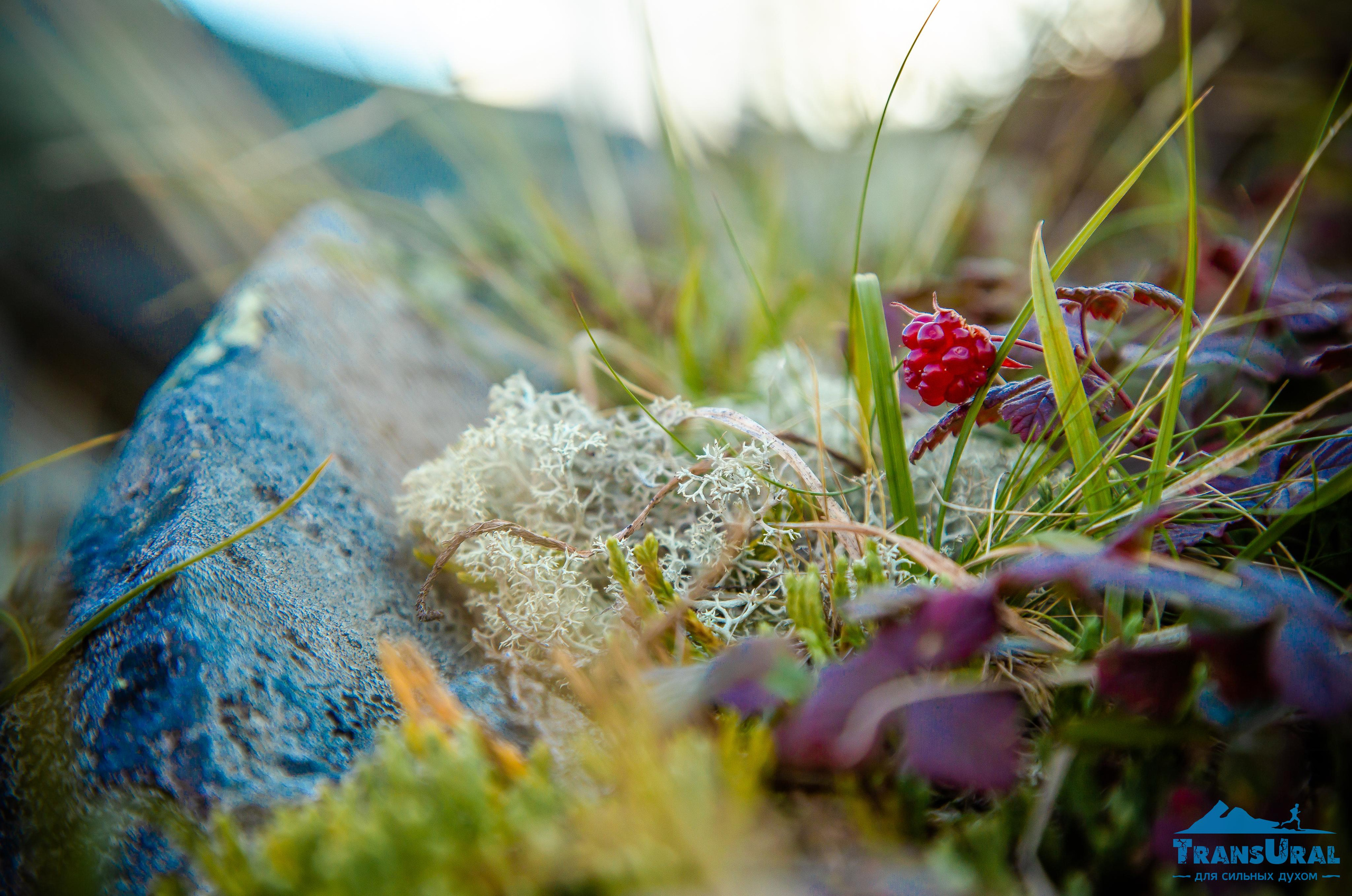 Полярный Урал. Авторские туры с профессиональным фотографом