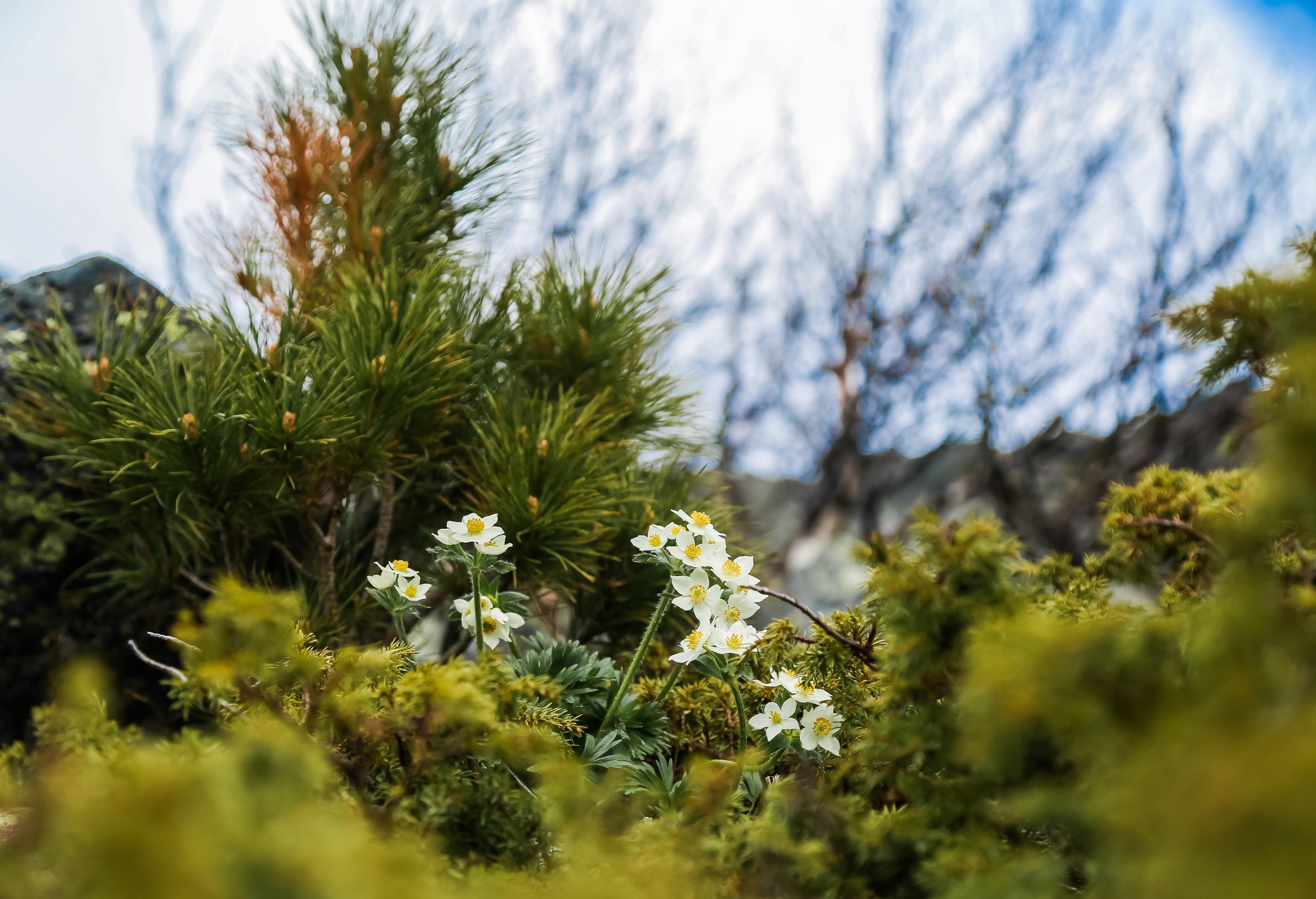 ПОРТФОЛИО. Авторские туры с профессиональным фотографом