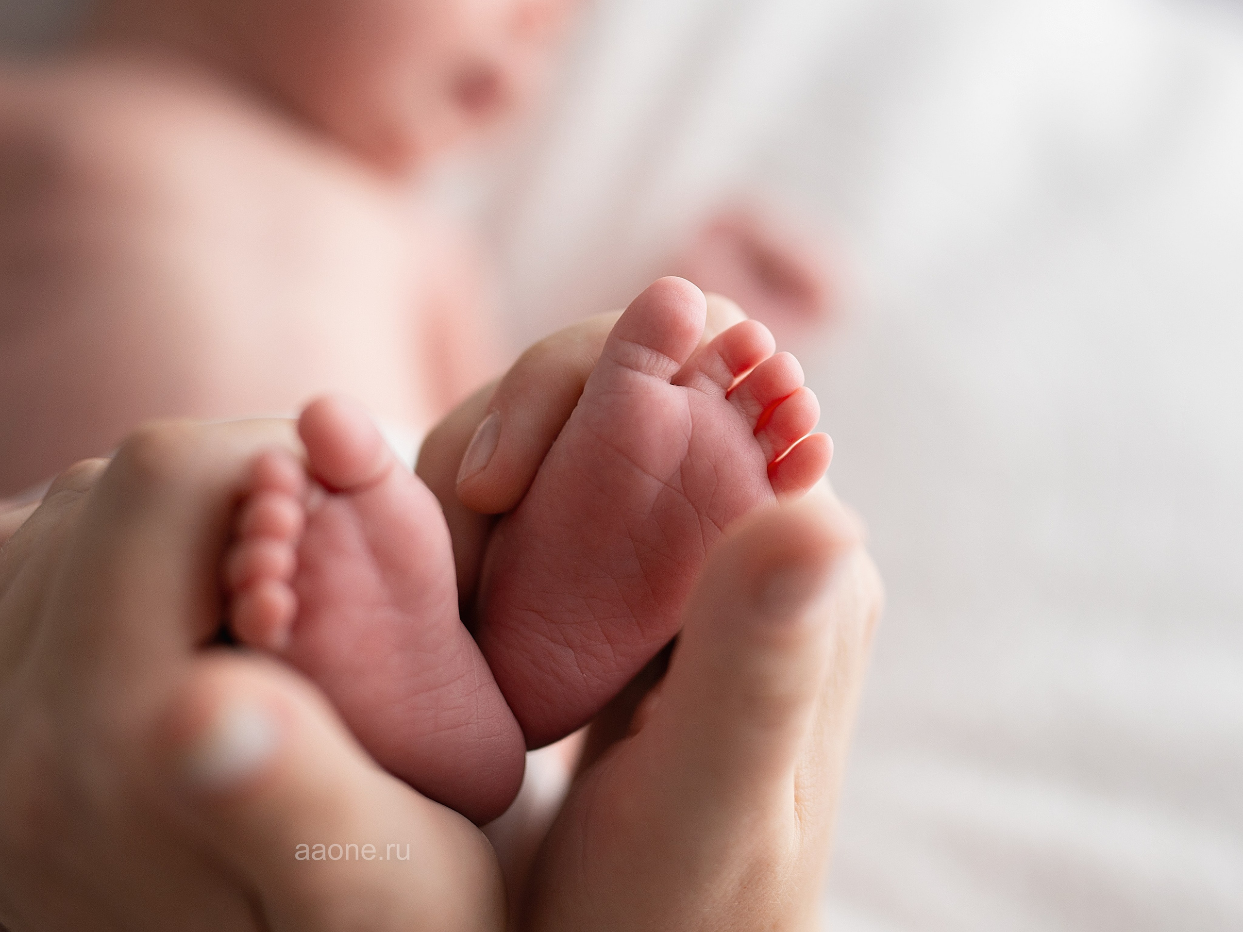 Цены NEWBORN с примерами. Фотограф в Перми Anastasia Aone