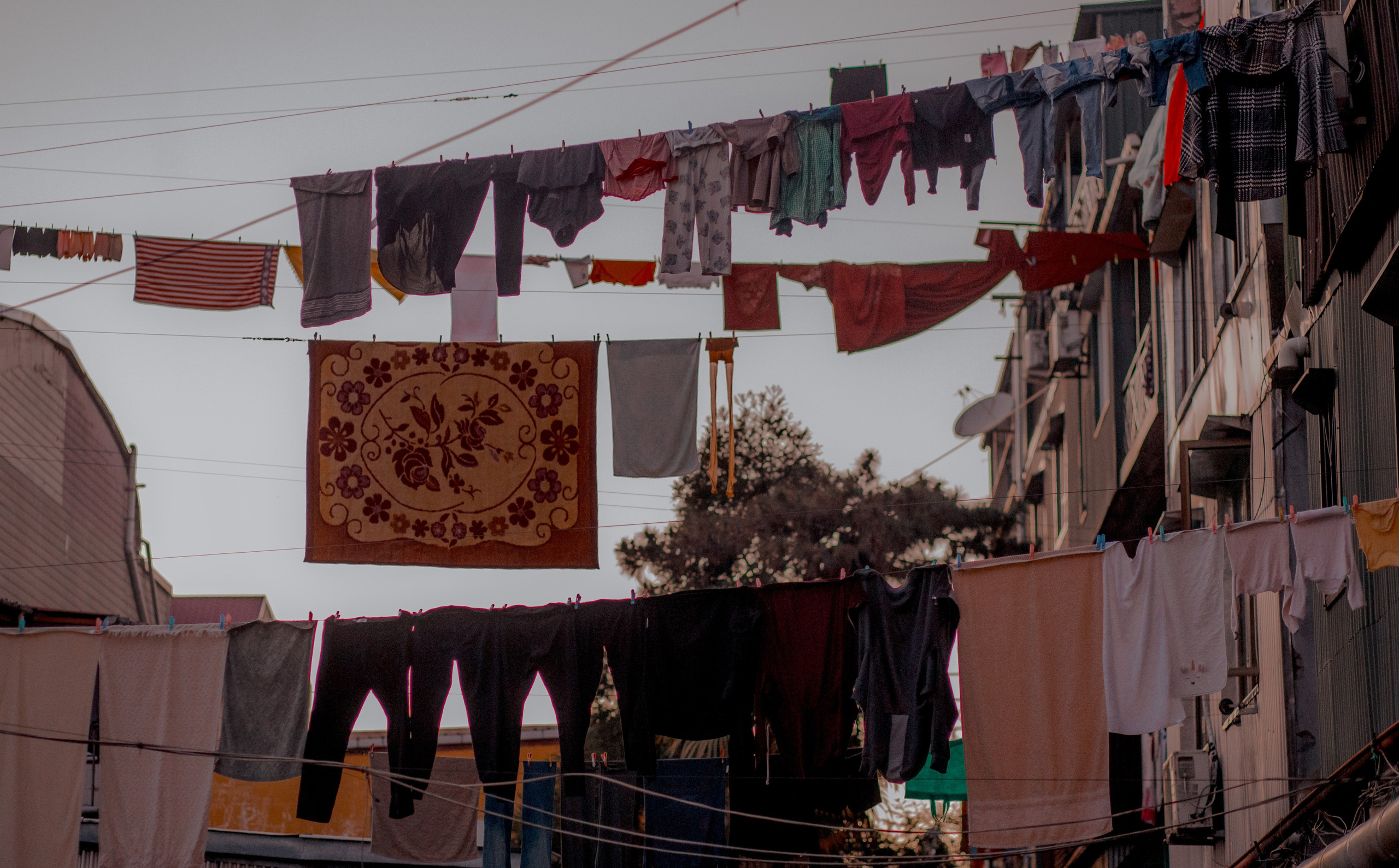 Georgia, Batumi. Art Photographer
