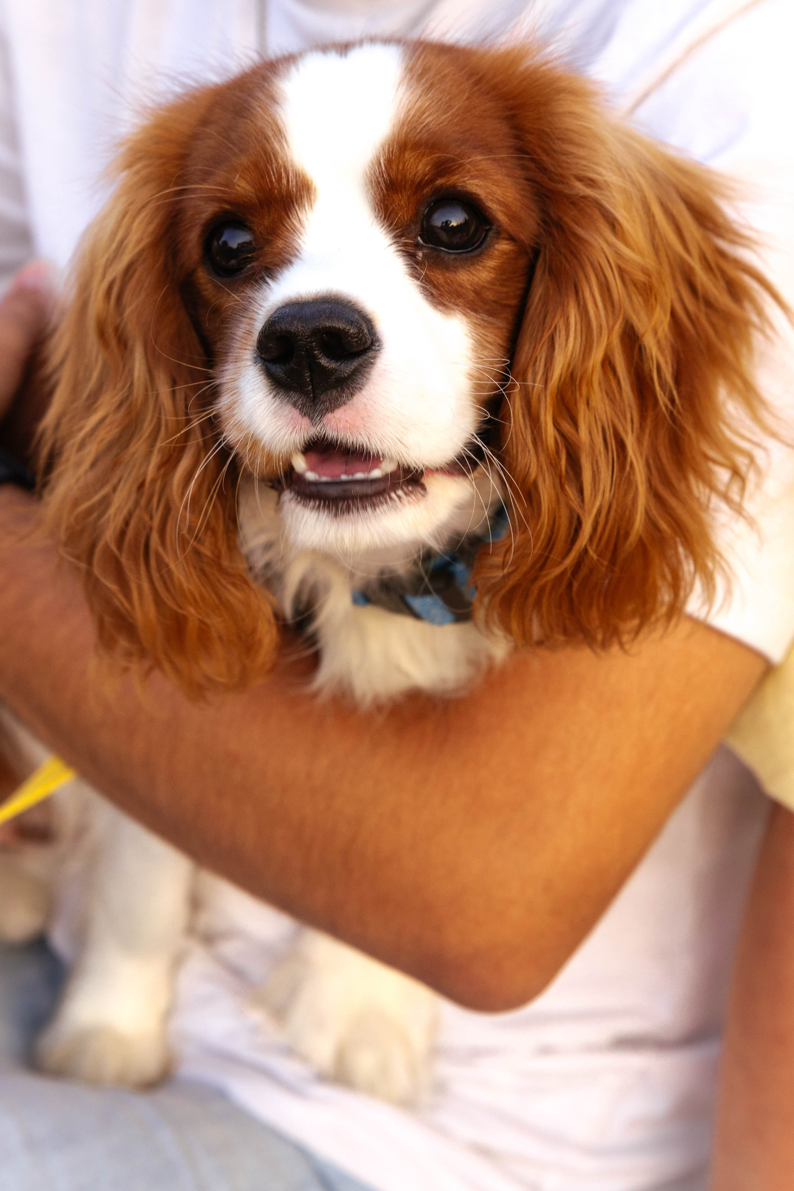 Илья и Валерия. Свадебный и семейный фотограф в Челябинске