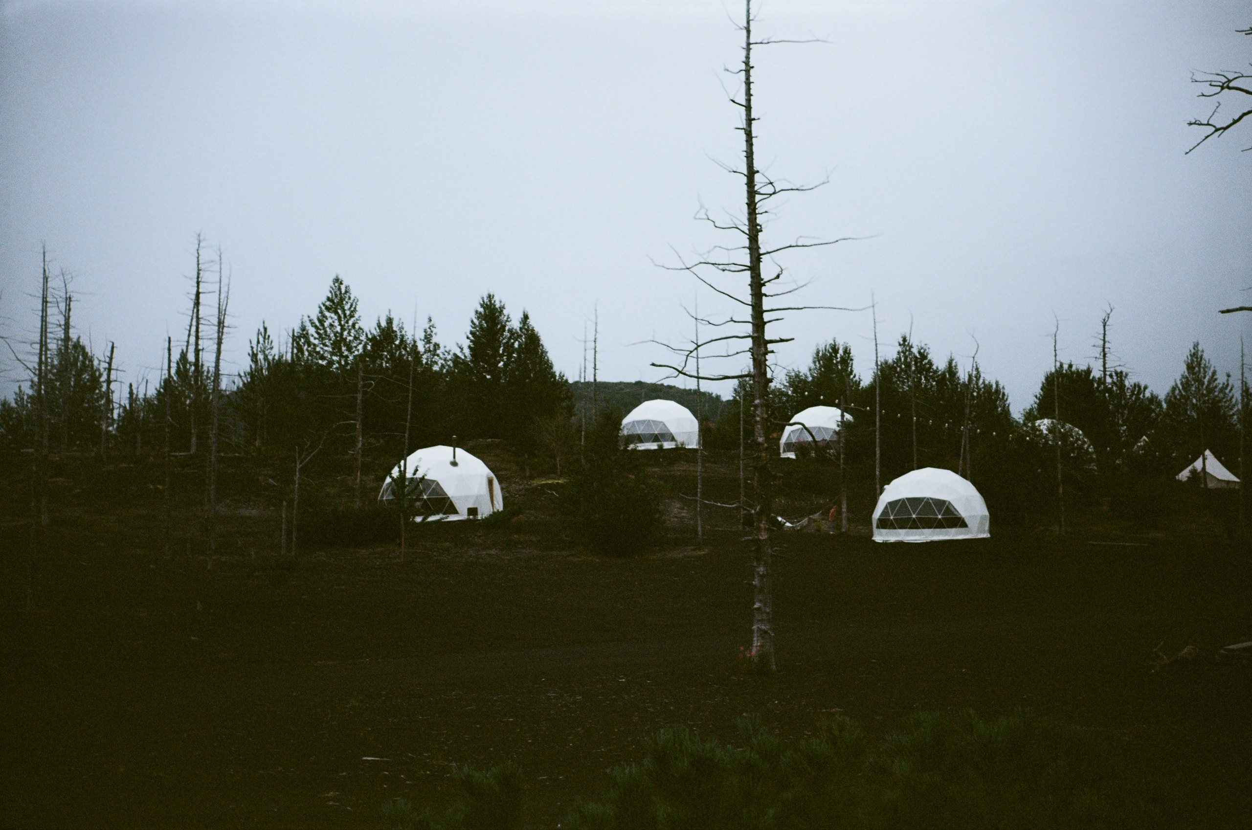 Камчатка на пленку. Travel-фотограф Ирина Милинцова