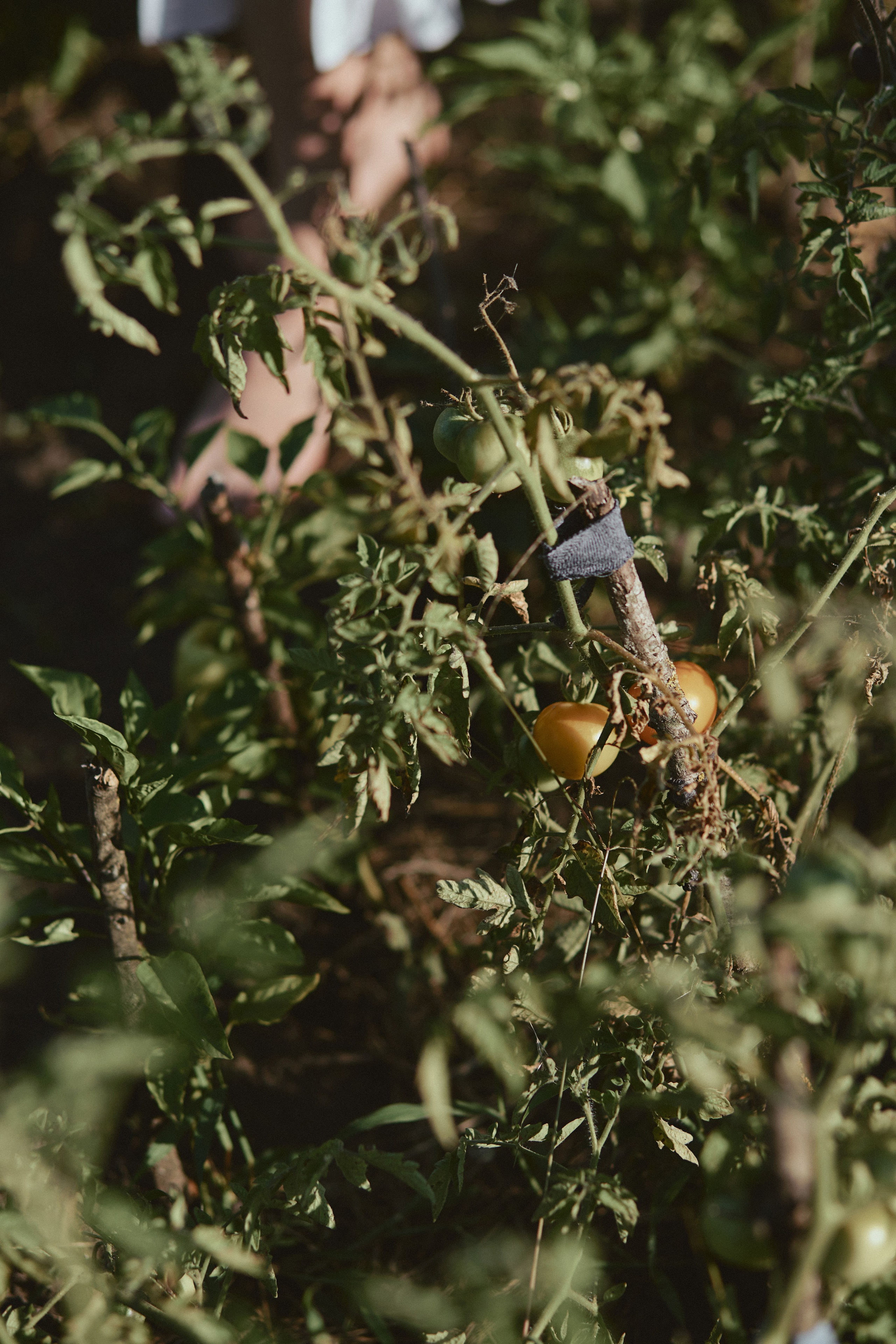 30|07|23. Анастасия Марунич | Блогер | Ставрополь