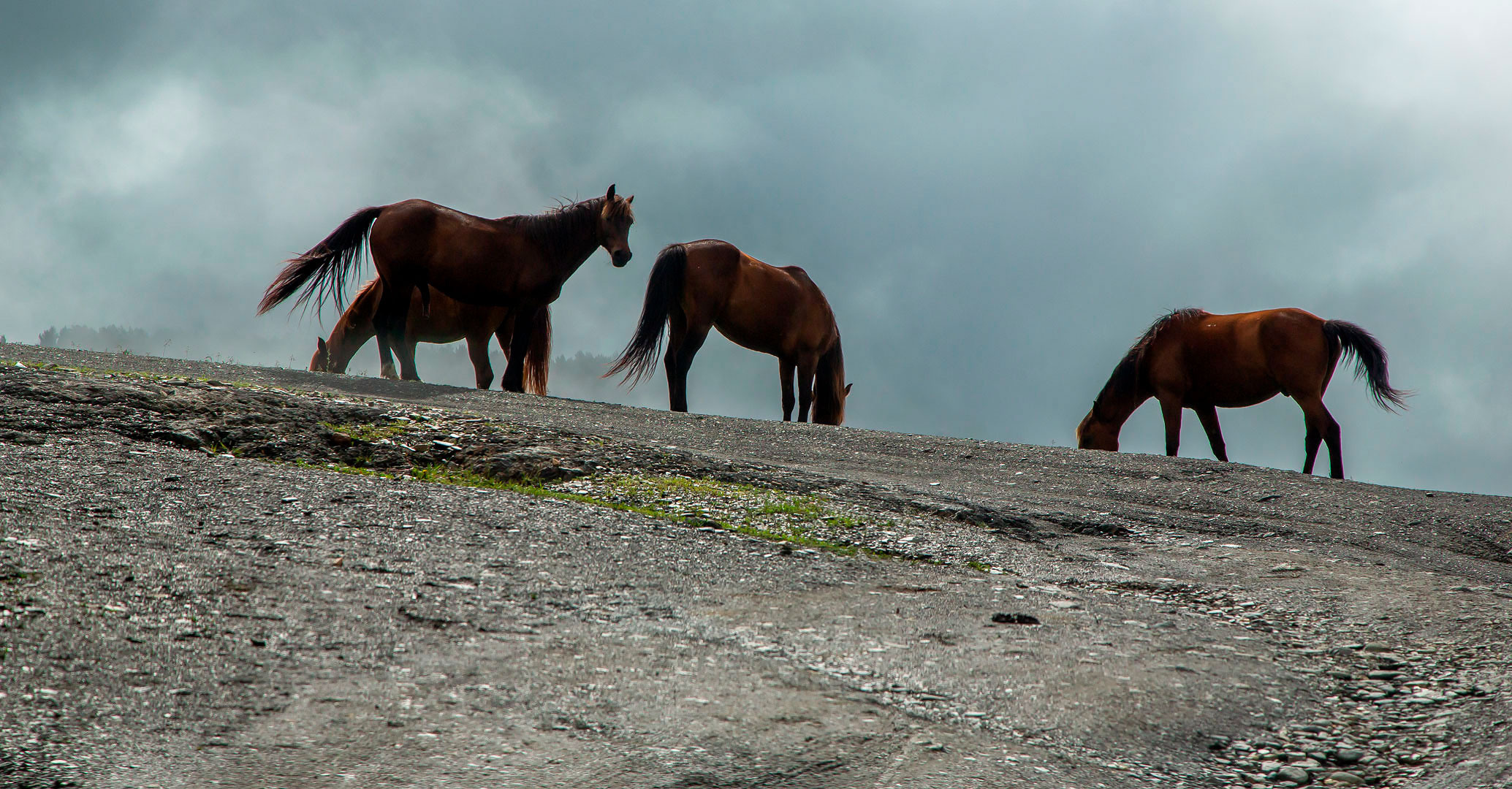 Тушетия и немного Грузии. Yuri Ovchinnikov Photography, St. Petersburg, landscape photography