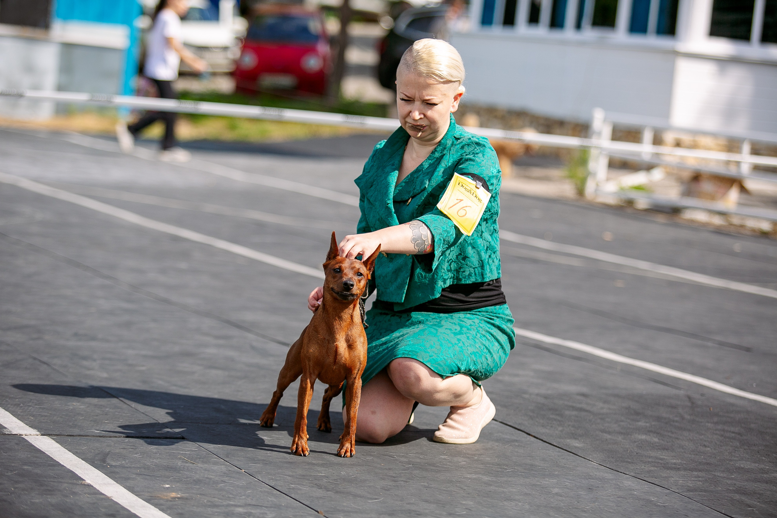 Окунулась вновь в атмосферу выставки…. Школьный фотограф в Туле Светлана Привезенцева