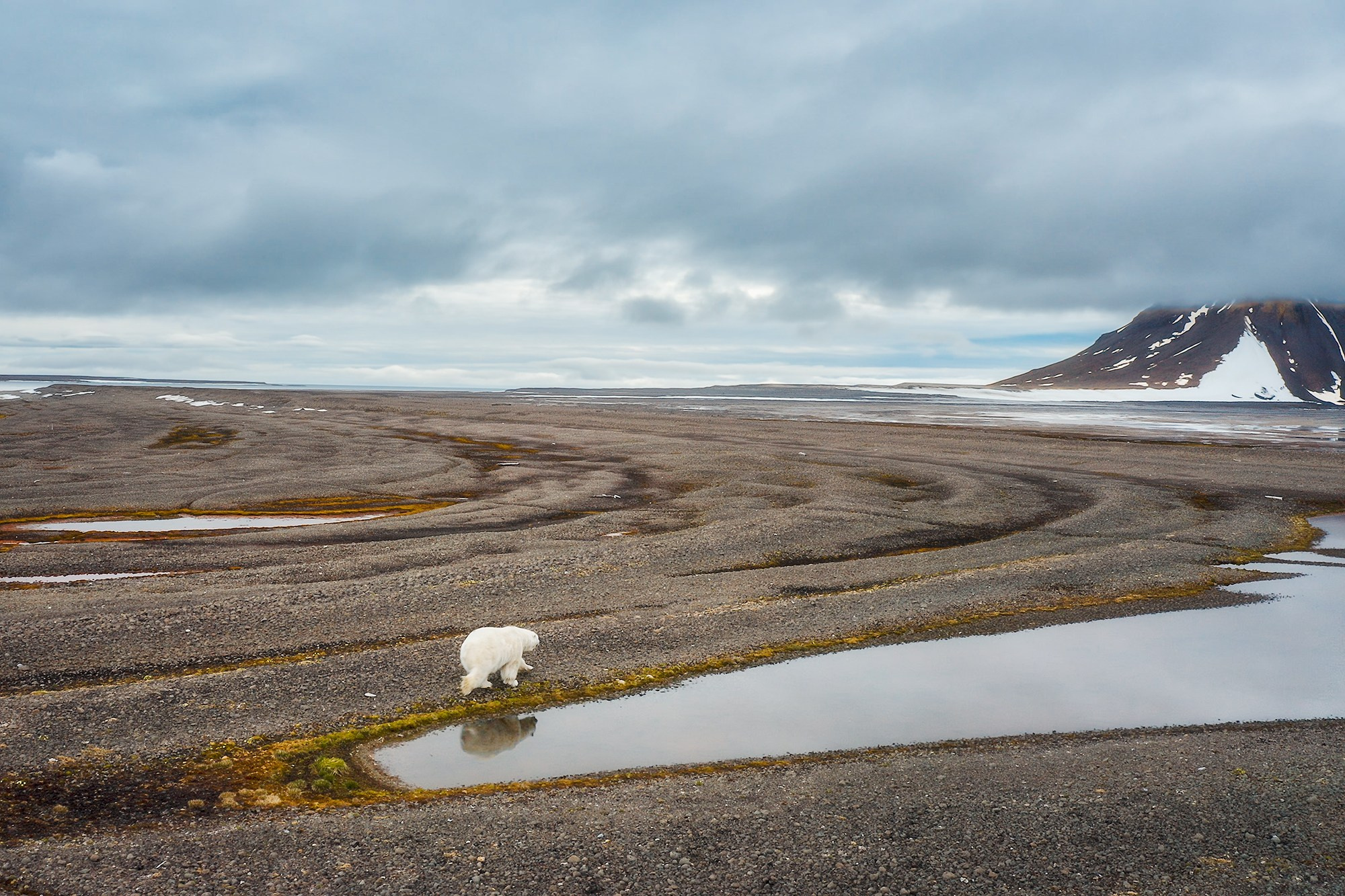 Арктика. Аэросъемка в Архангельске, Александр Ермолин