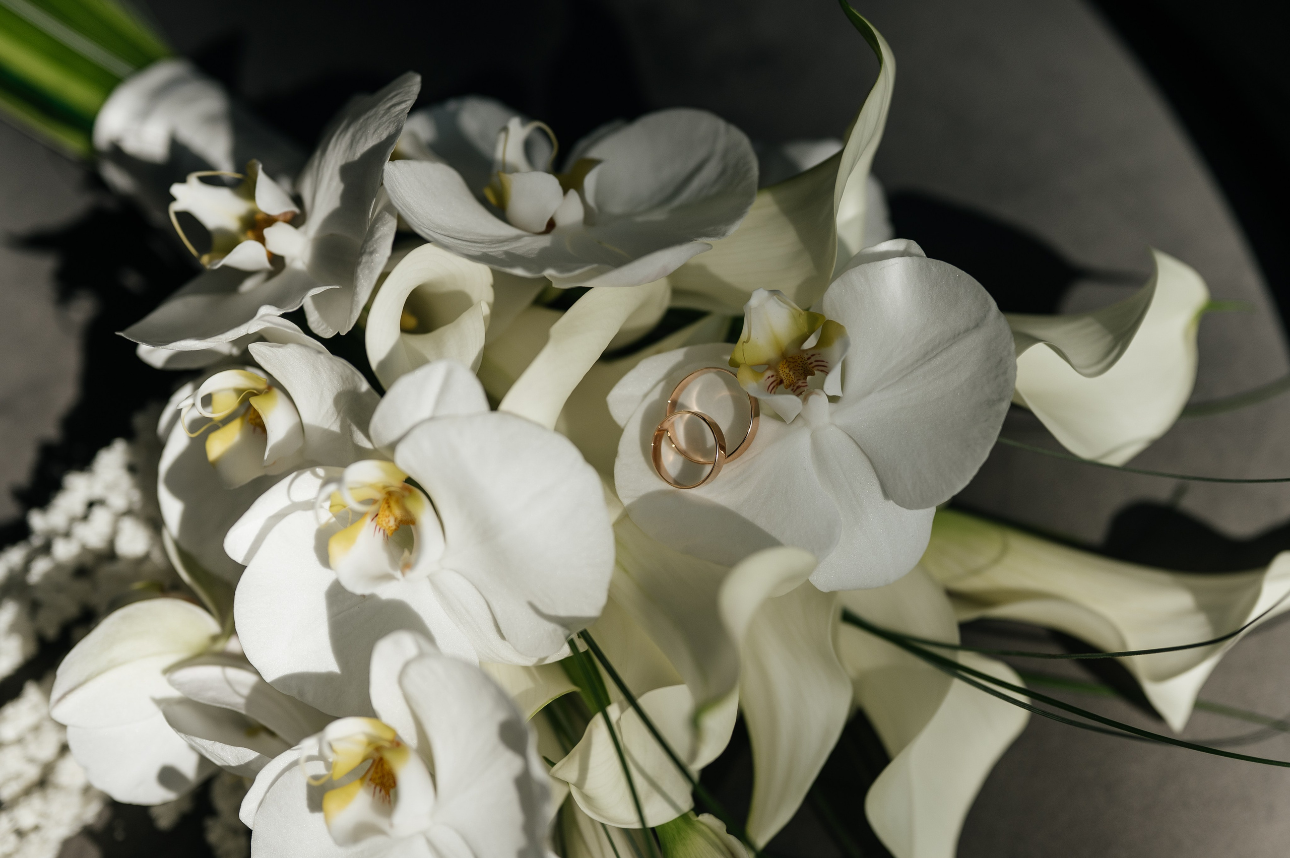 Генрих и Ксения. Свадебный и семейный фотограф в Краснодаре Алина Мельник