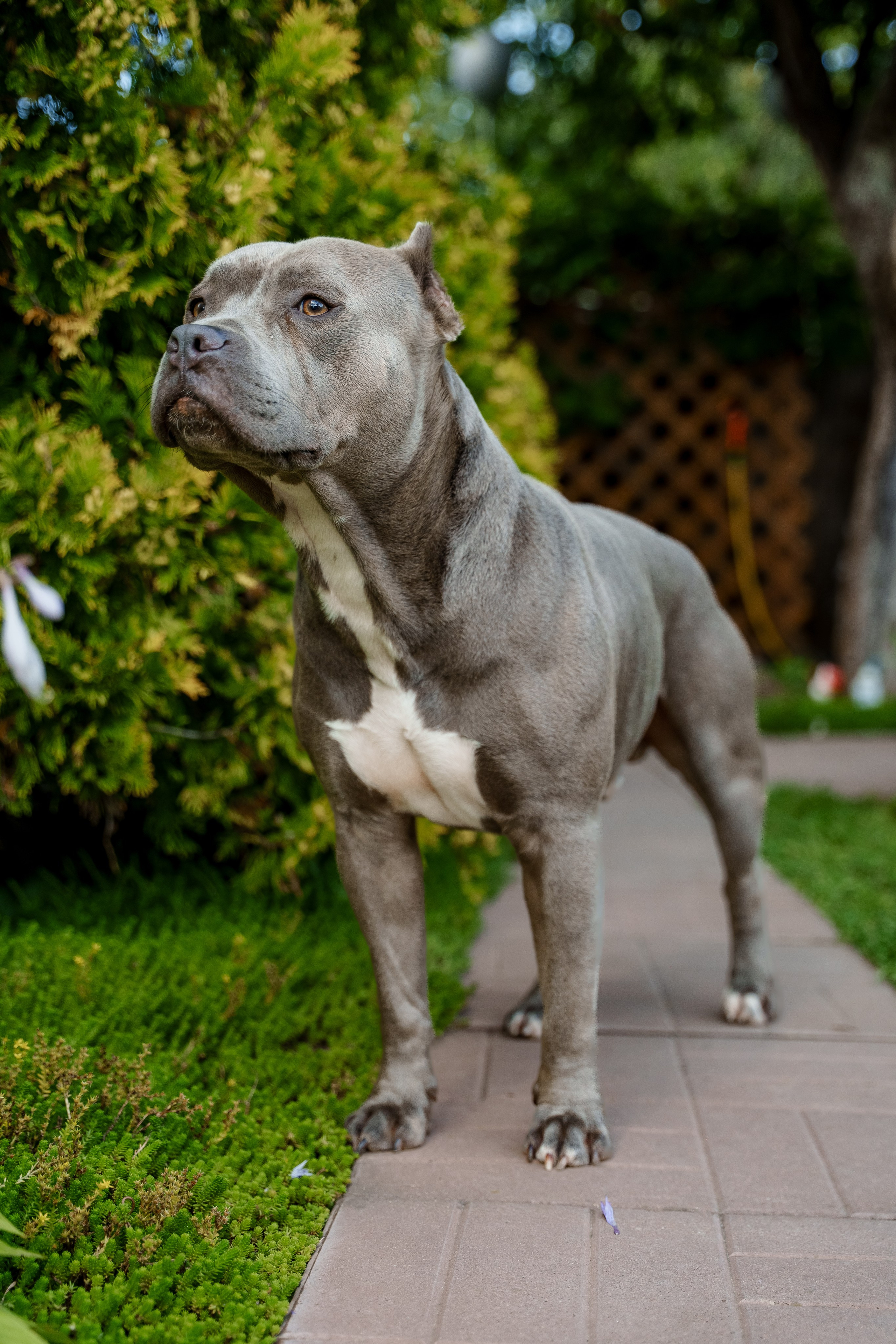 Ева 1 год. Станислав Тюрин Фотограф Москва. Индивидуальные и семейные фотосессии;