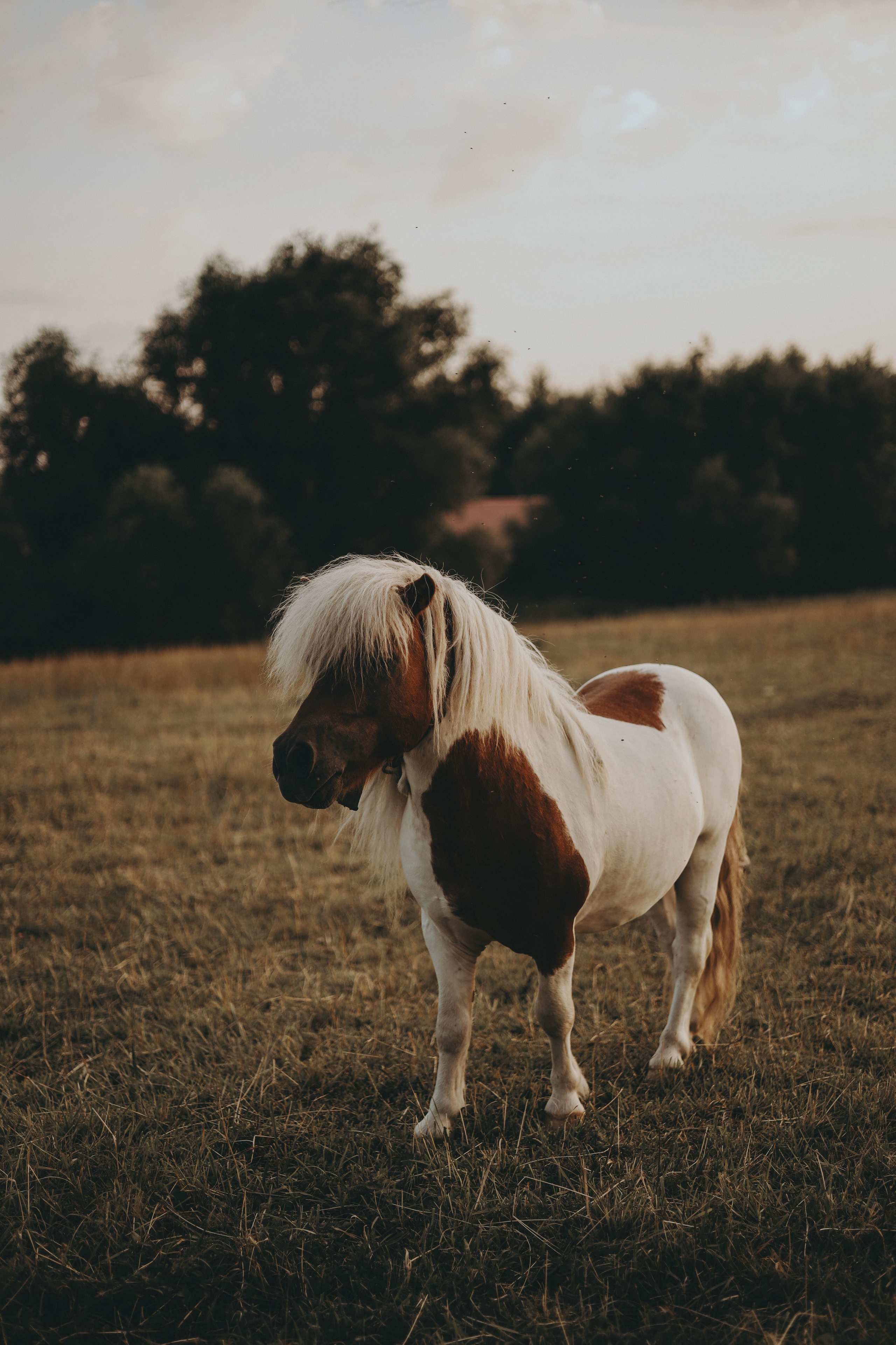 Серёжа & Саша. Фотограф Мария Лаенко