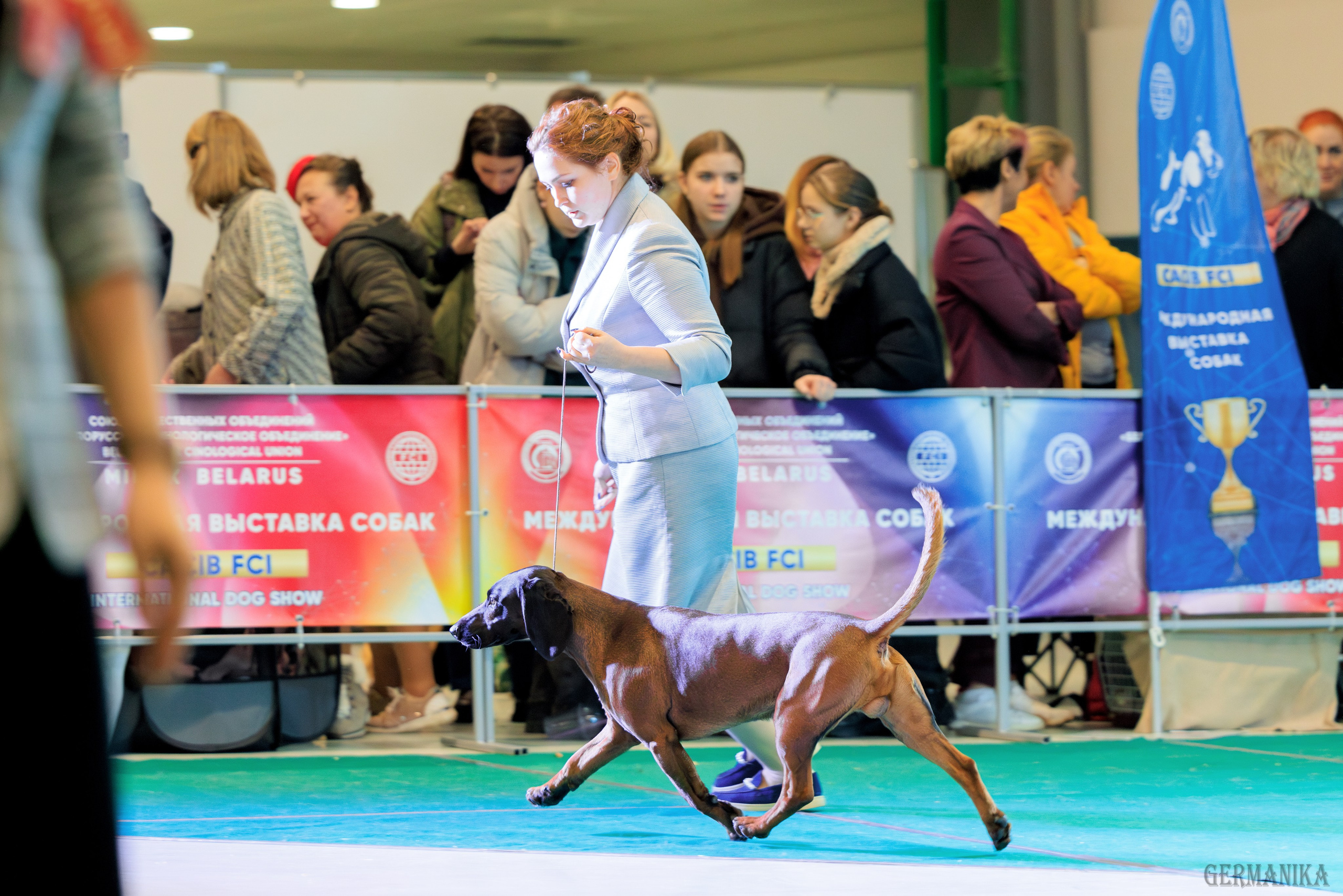 Минск 24-25.02.2024. Фотограф-анималист Юлия Германика