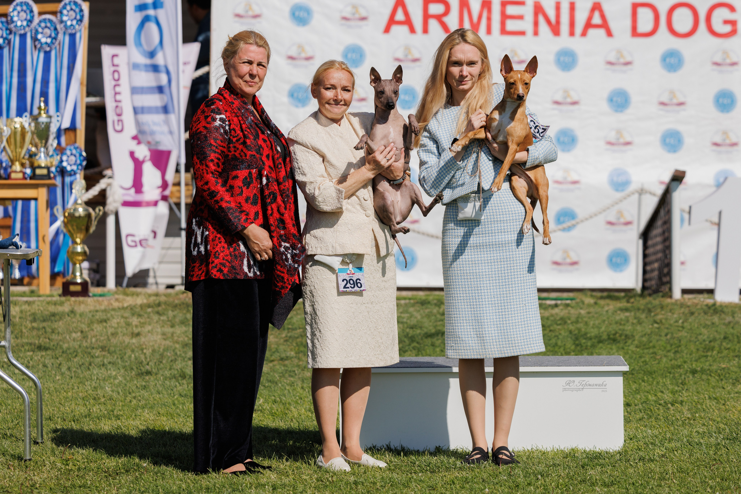 Ереван 14-16.10.2025. Фотограф-анималист Юлия Германика