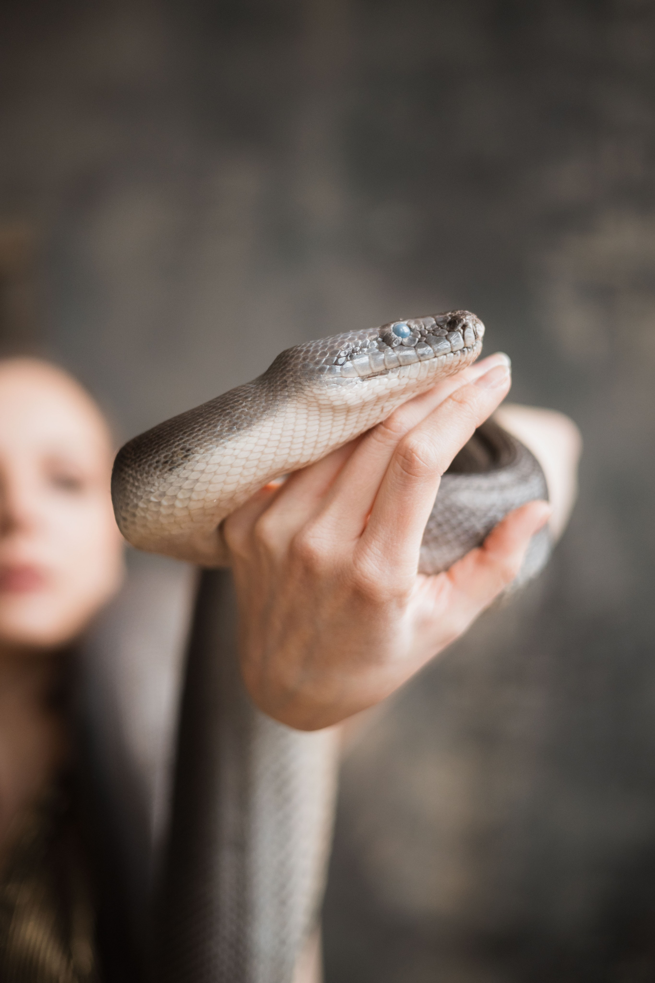 Снейк. Семейный видеограф в Москве Элина Ладова