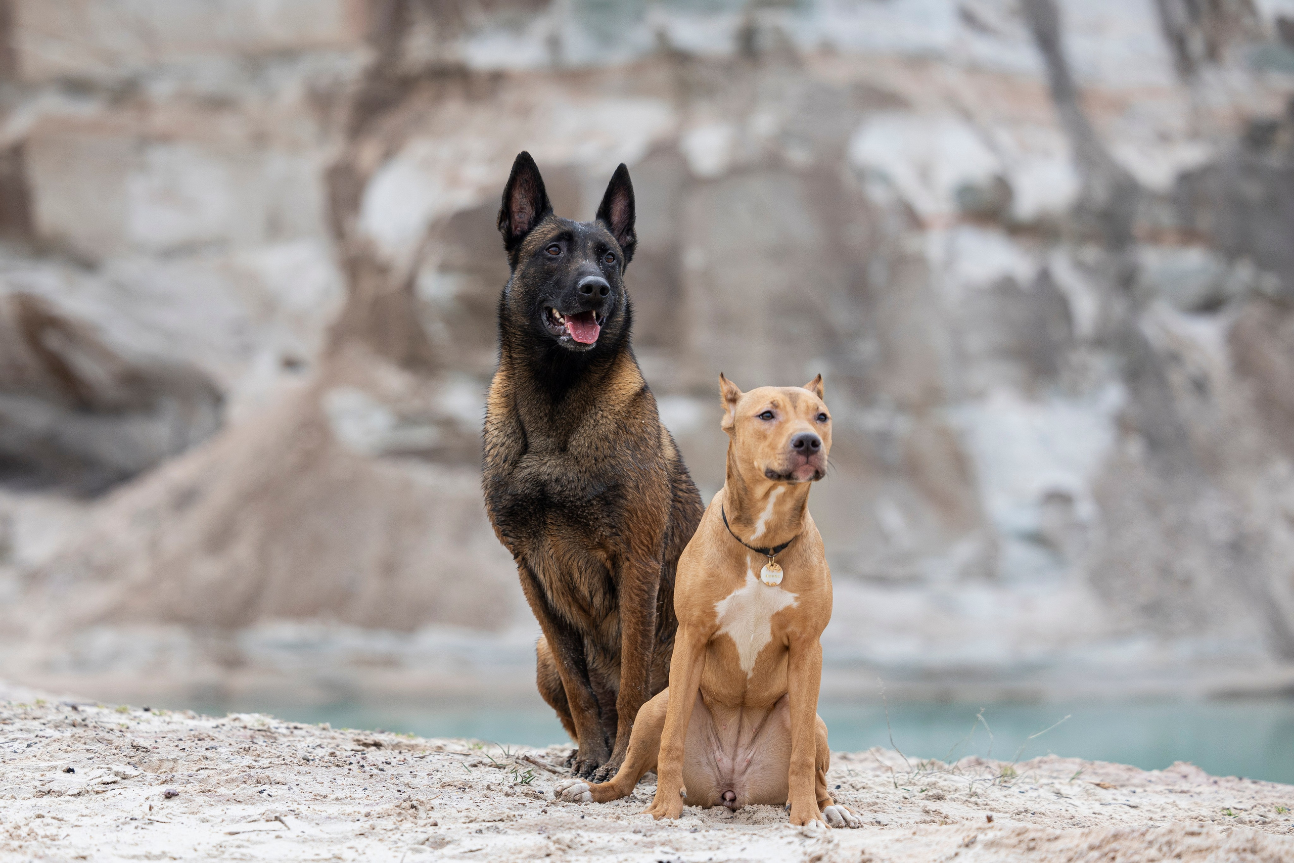 Лужские Мальдивы. Фотограф-анималист Анна Маринич