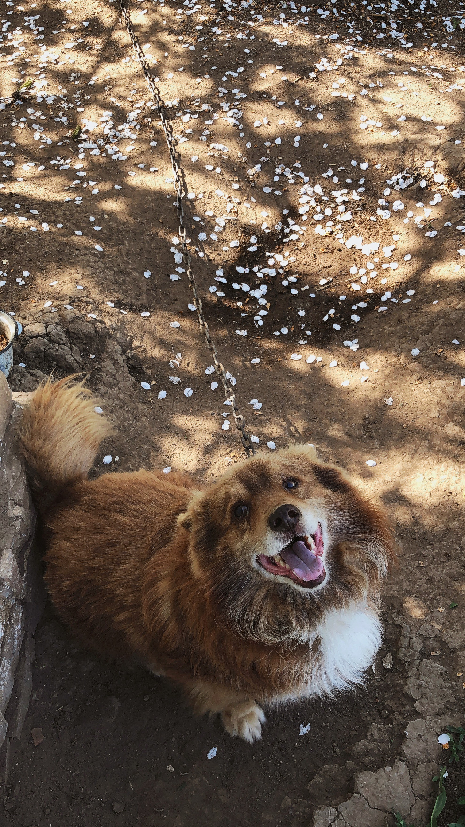 Визуальный дневник. Портретный фотограф в Москве Гахраманова Екатерина