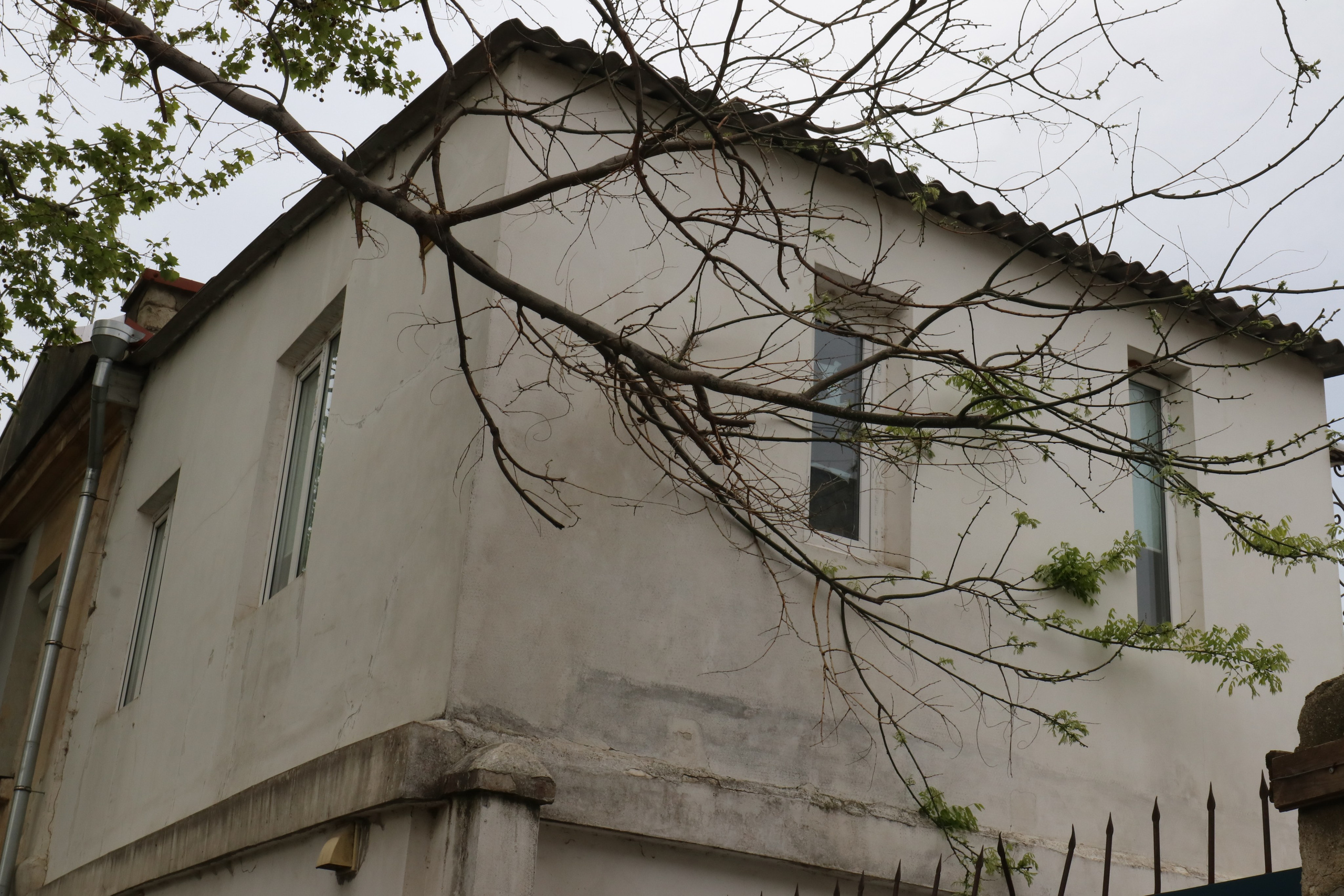 Крым. ЮБК (Севастополь, Кастрополь, Ялта). Май 2023. Путешественник-фотограф из Санкт-Петербурга Татьяна Свистулина