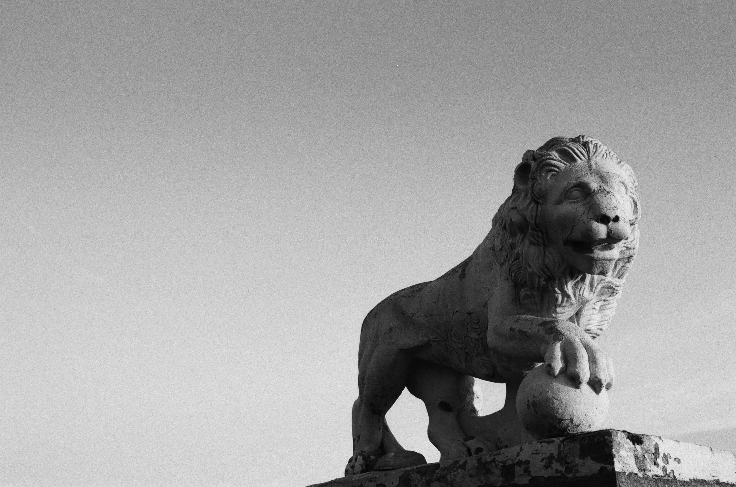 Film. Ruslan UI Dev Page