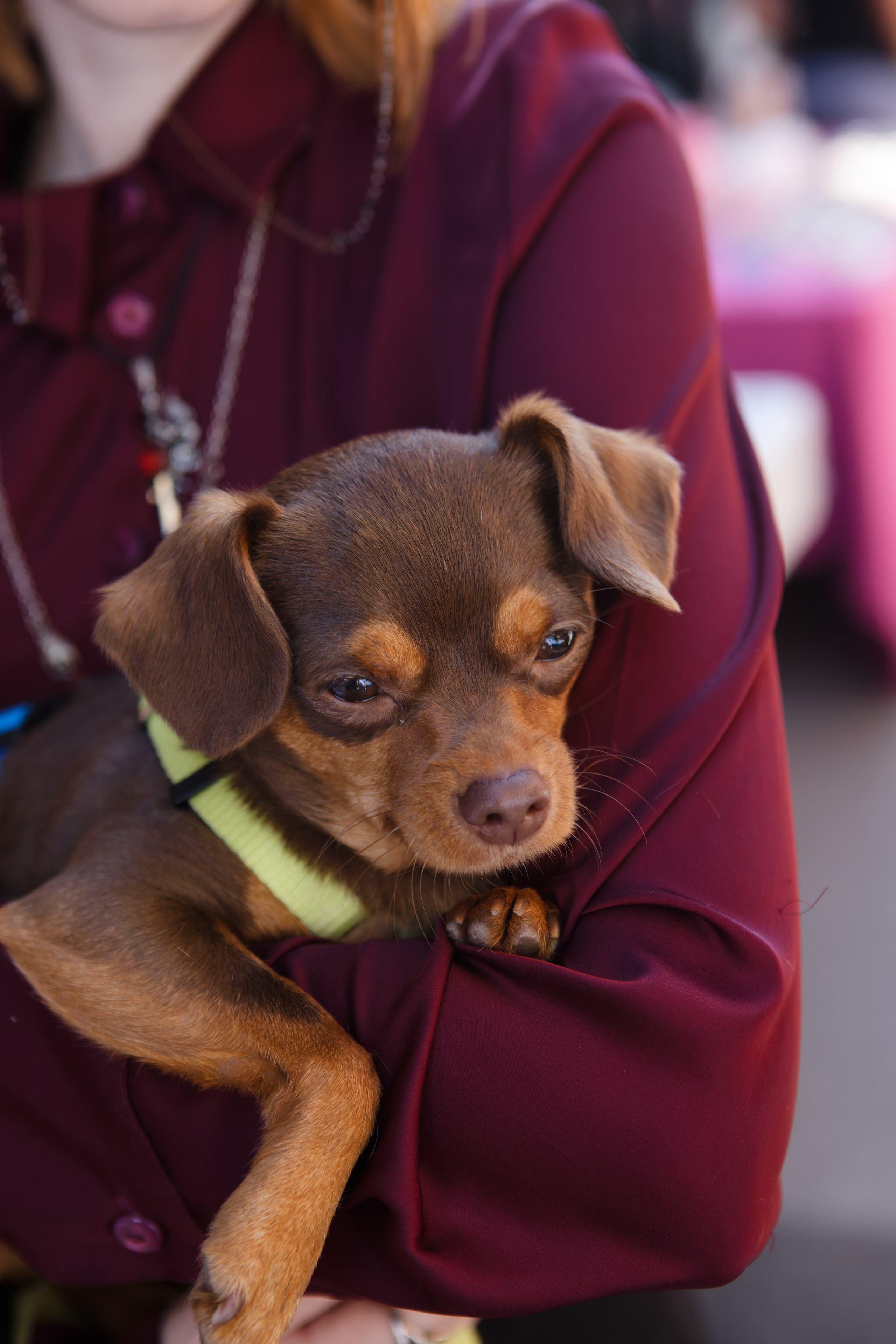 Мир животных. Репортажный и спортивный фотограф в г. Пермь Зильберг Павел