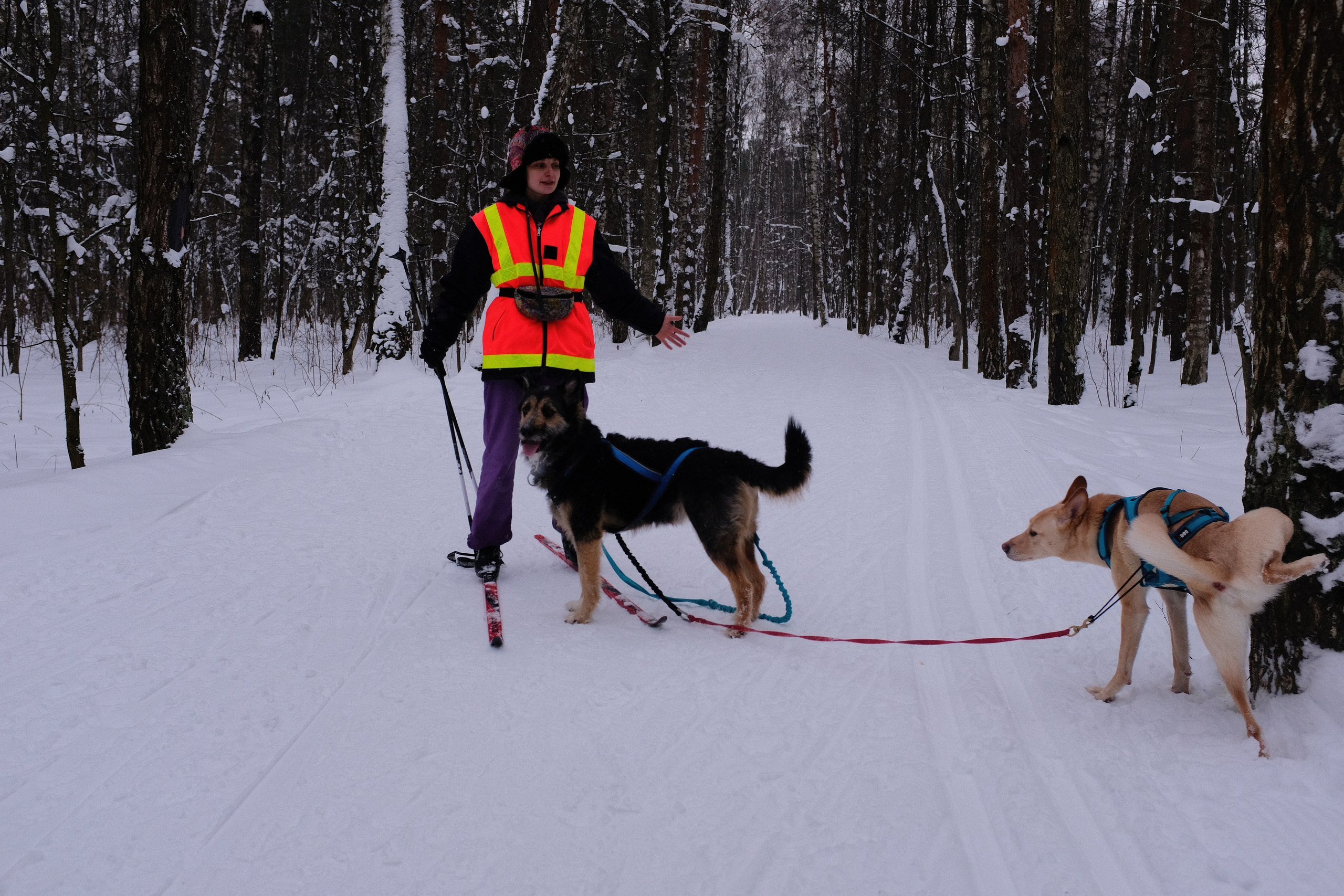 Рик, Листик и их Катя. Дмитрий Бречалов