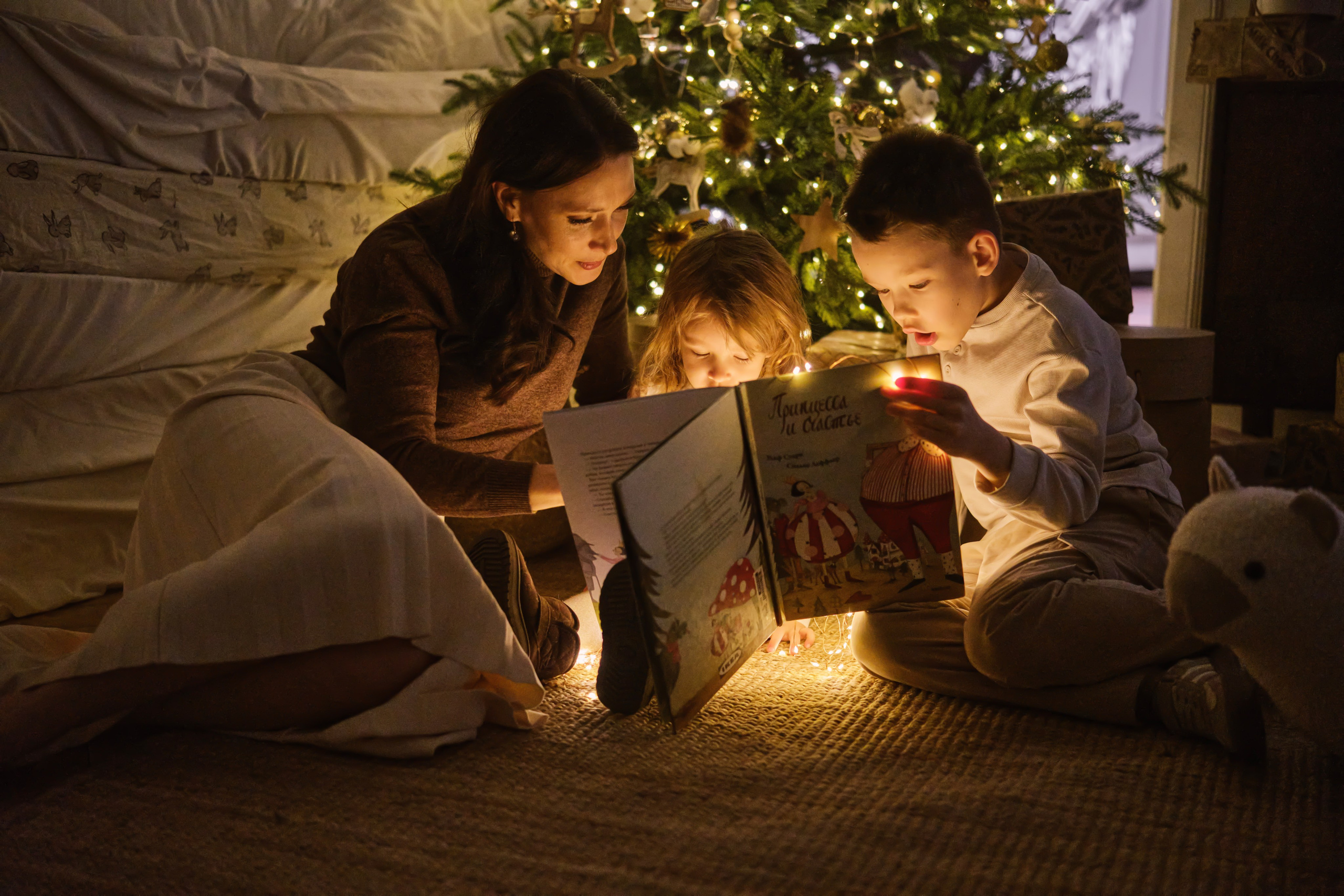 Новогодняя 3. Фотограф в Самаре Татьяна Дубаносова