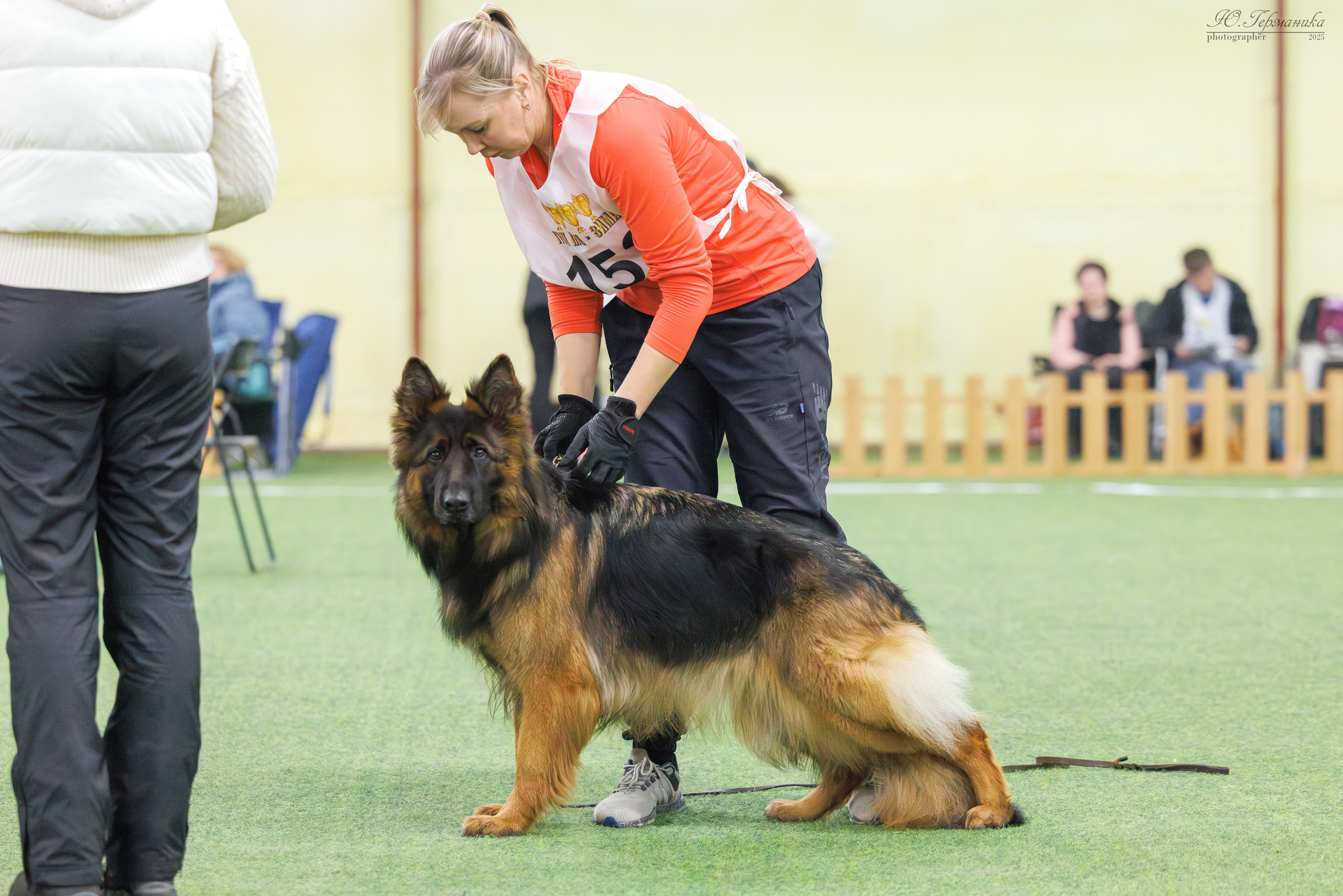 Гран-При 8.02.2025 и Крокус 09.02.2025. Фотограф-анималист Юлия Германика