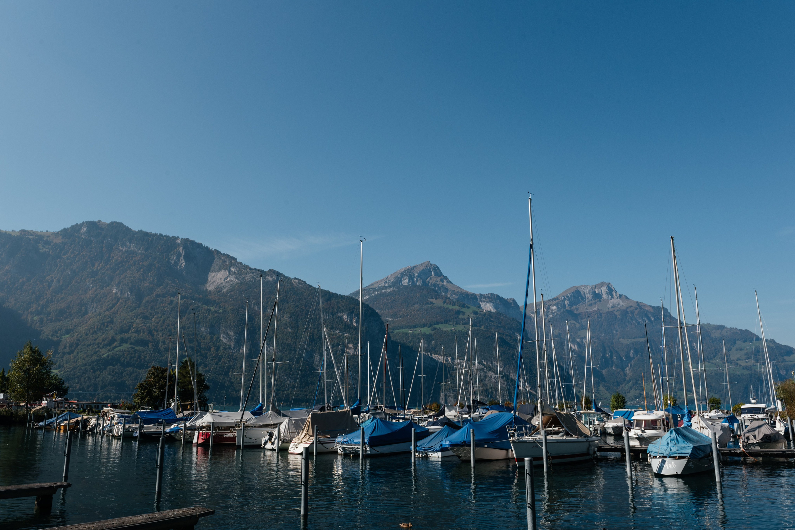 Анна & Сергей (Бауэн, Швейцария). Фотограф в Швейцарии и Европе Анна Алексеенко