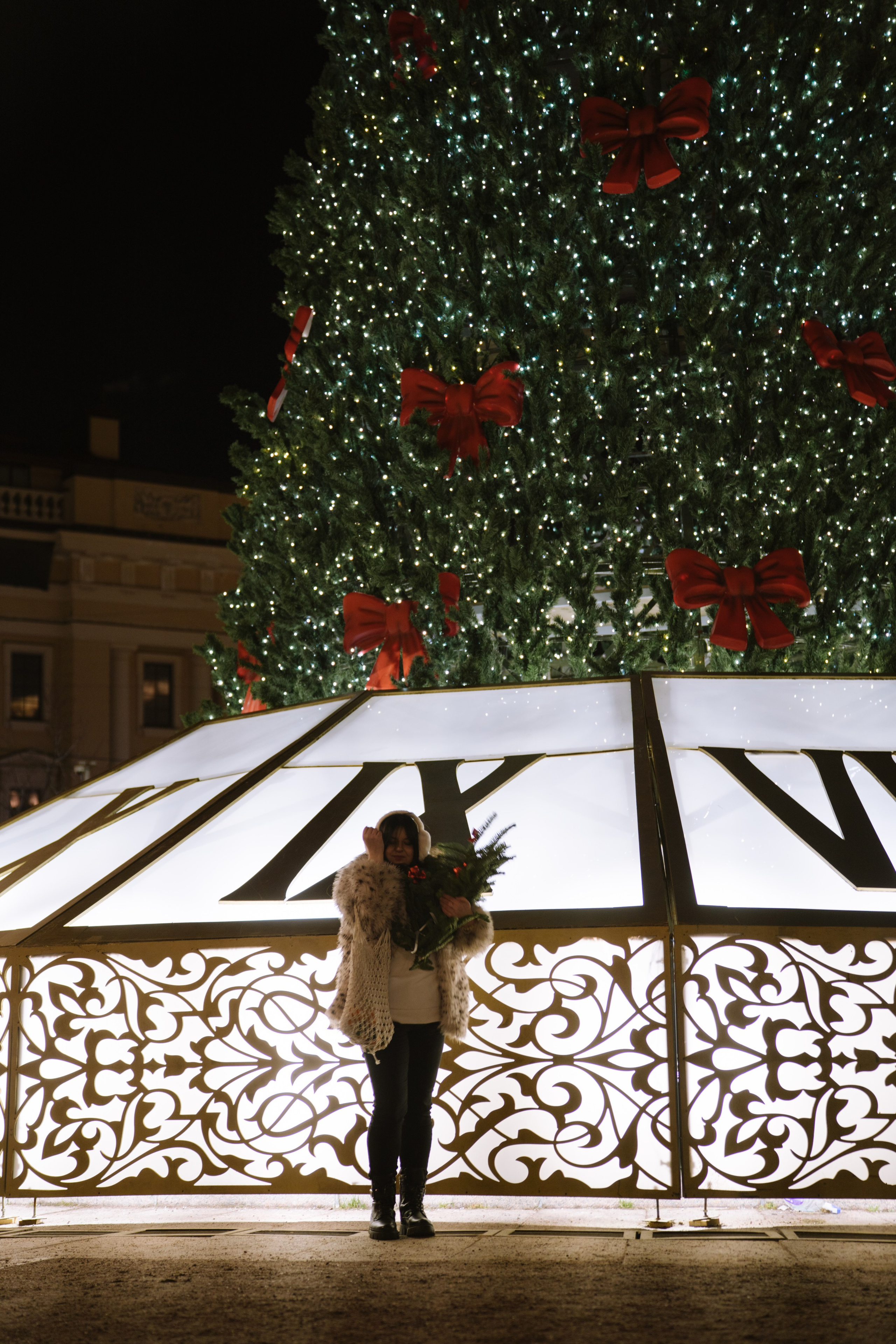 ПРОГУЛКА НА МАНЕЖНОЙ ПЛОЩАДИ ДЛЯ ДЕВУШКИ ПЕРЕД НОВЫМ ГОДОМ (НОВОГОДНЯЯ ФОТОСЕССИИЯ НА МАНЕЖНОЙ ПЛОЩАДИ). Профессиональный фотограф, Санкт-Петербург — Виктория Богомолова