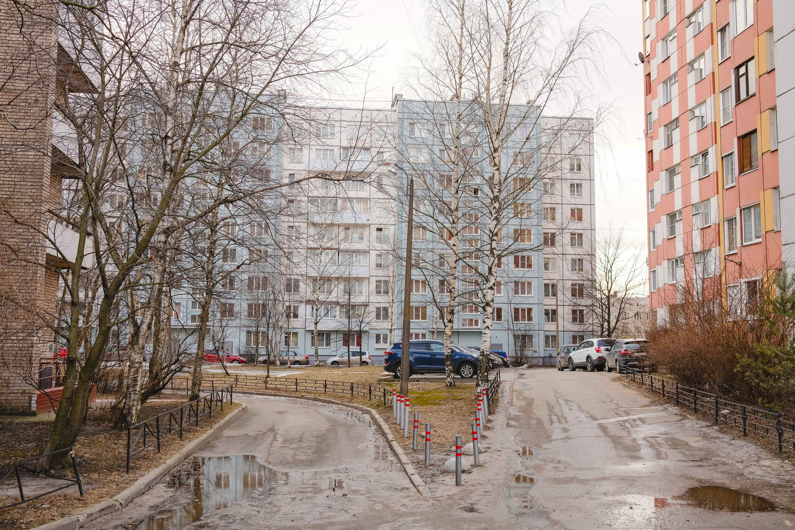 2023.03. Фотограф Алексей Алексеев