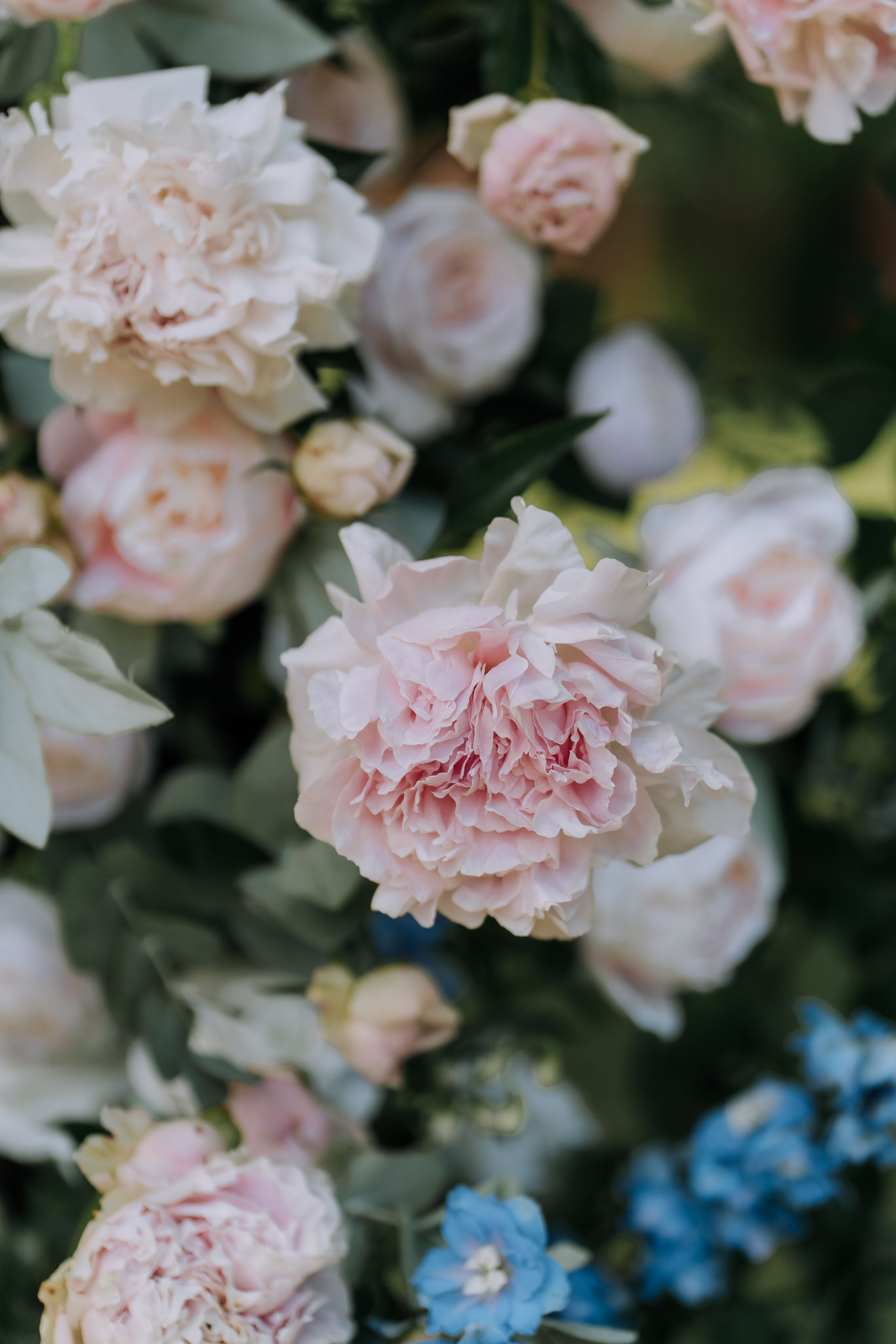 Nikolay & Anna. Главная