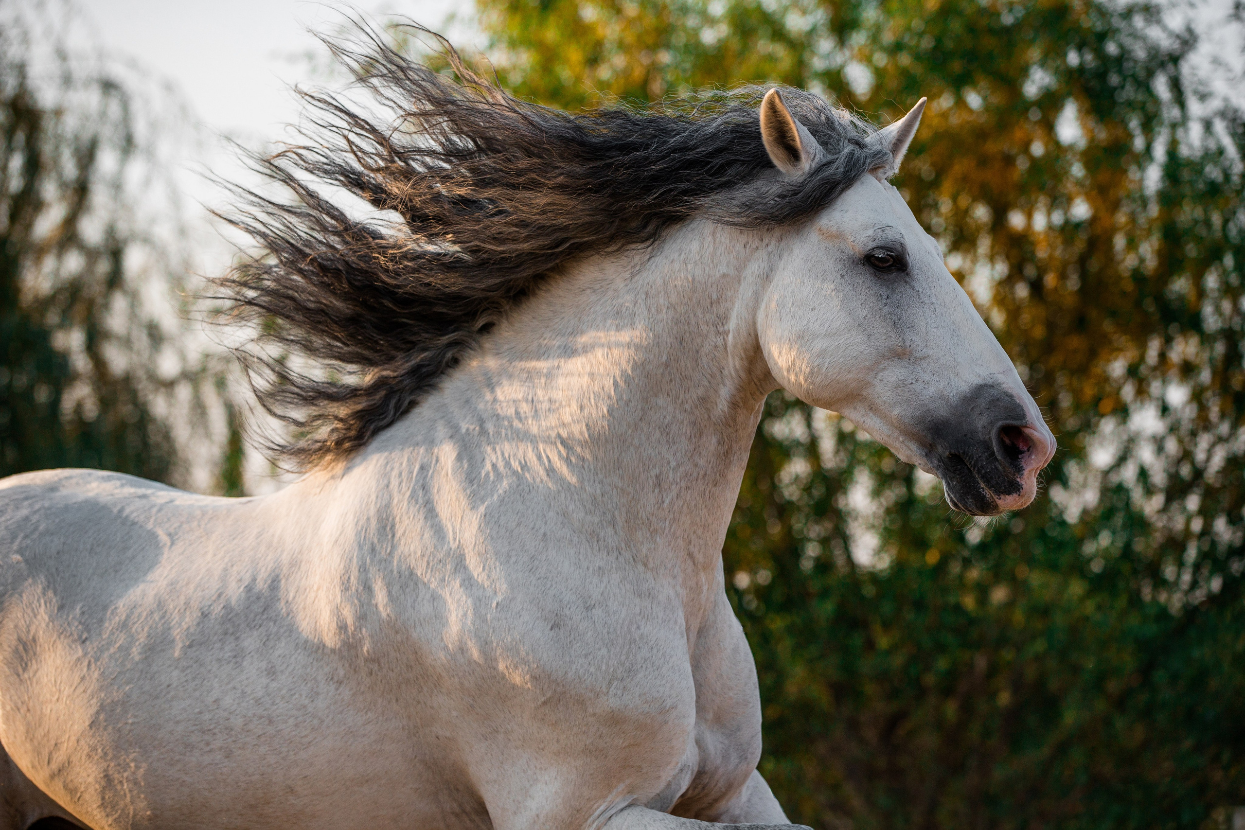 На природе. Фотограф-анималист Ксендзова Кристина