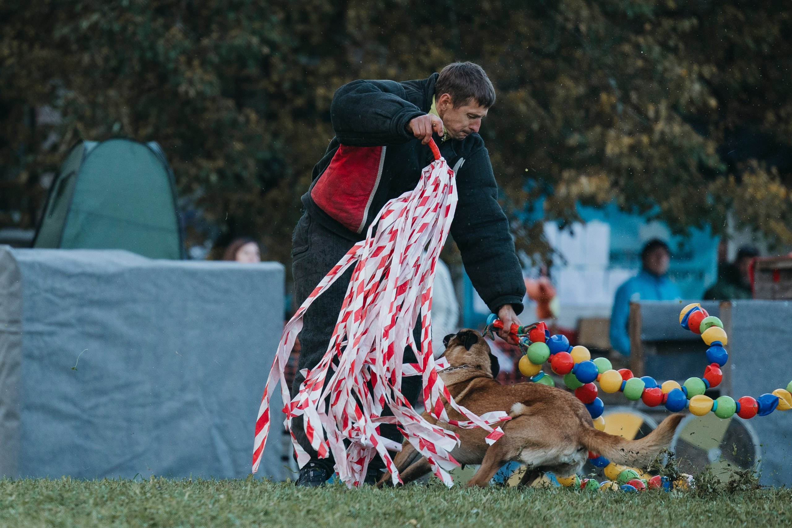 Испытания по мондьорингу г. Пушкин 29.09.2024. Фотограф-анималист Анна Маринич