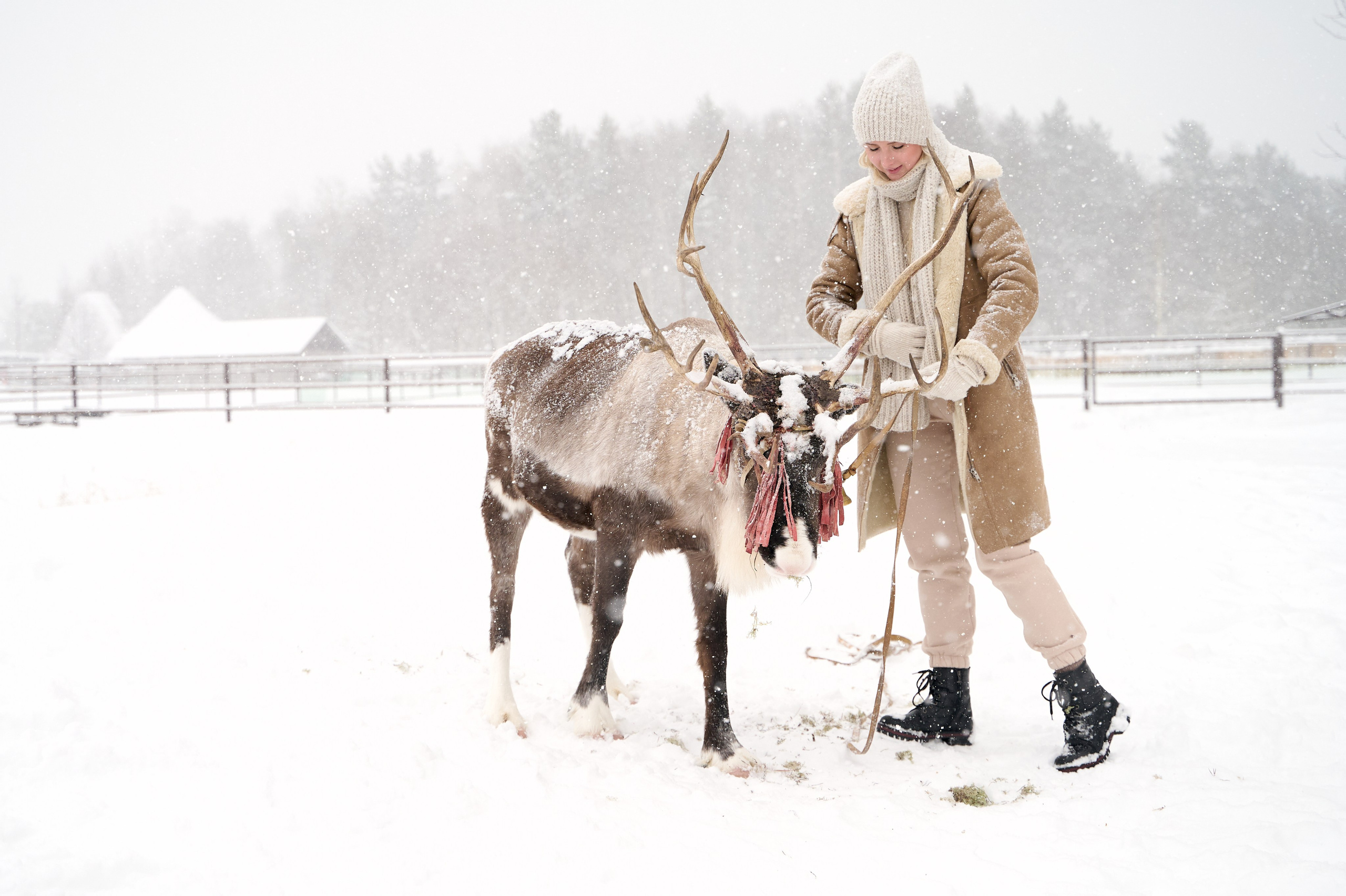 Дмитрий Тамара Ирина. Фотограф Егорьевск Коломна Воскресенск