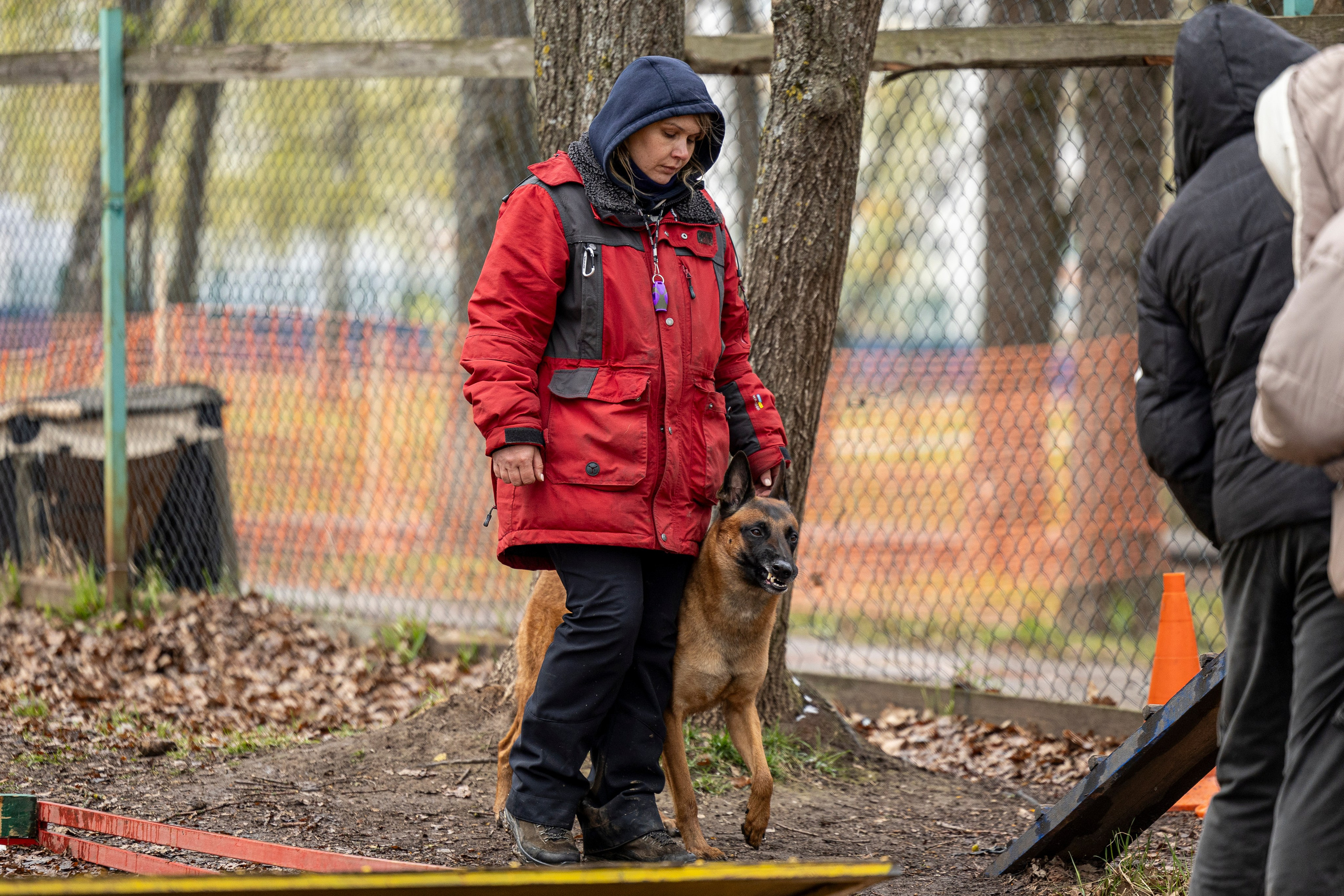 Квалификационные состязания по мондьорингу г. Вологда 11.05.24. Фотограф-анималист Анна Маринич