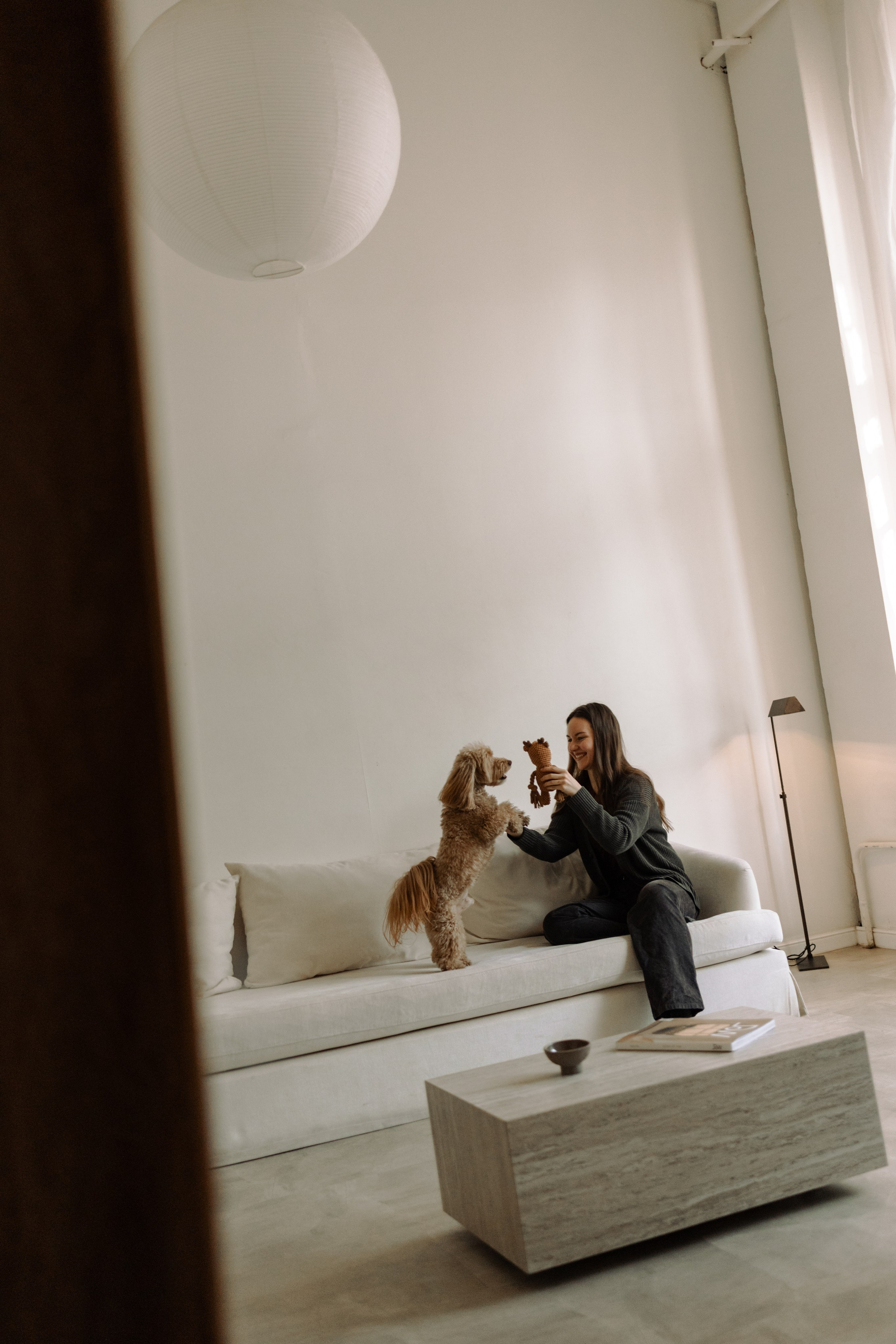 Шкипер и его семья. Фотограф — Анималист | Санкт-Петербург