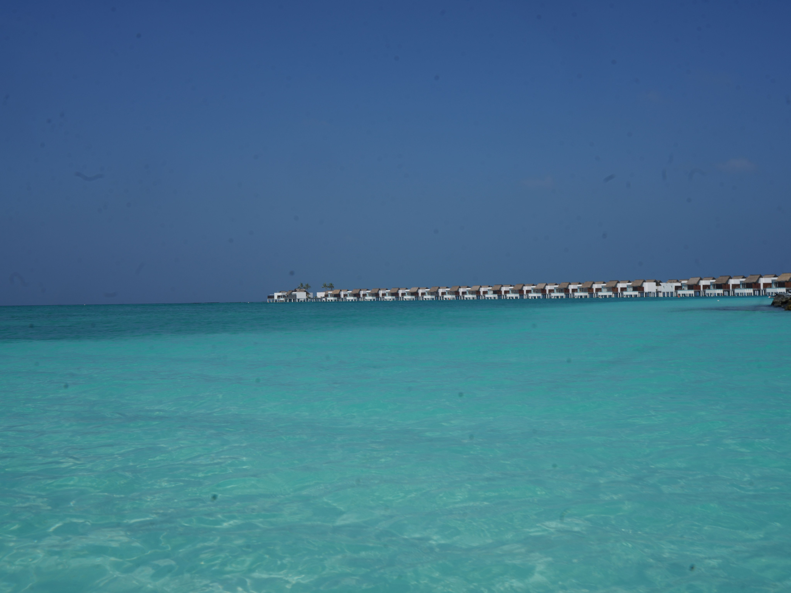 Мальдивы. Творческий фотограф Ирина Баландина.  Санкт-Петербург, Мурманск