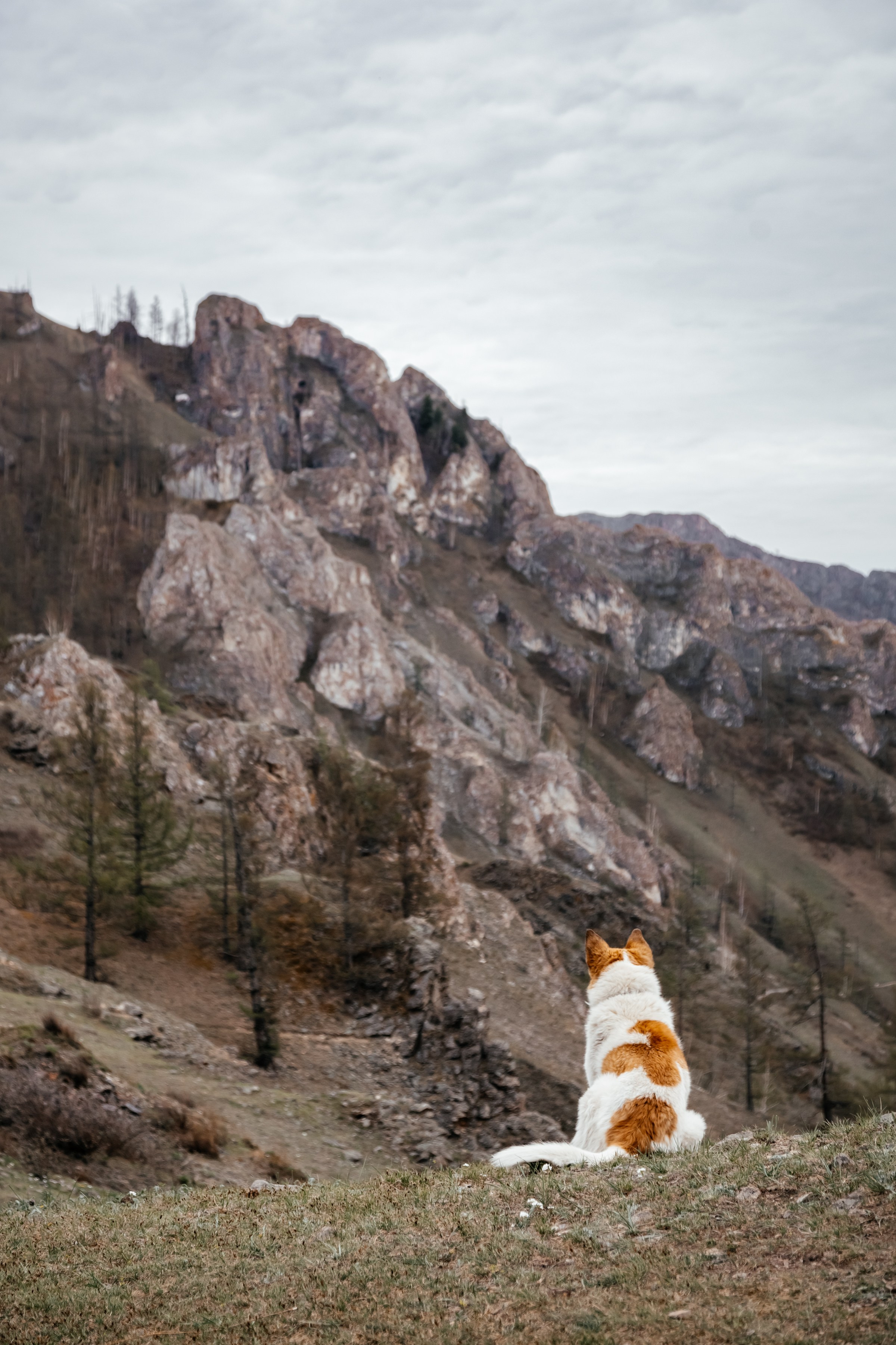 Хакассия. Фотограф в Красноярске Оксана Корчагина
