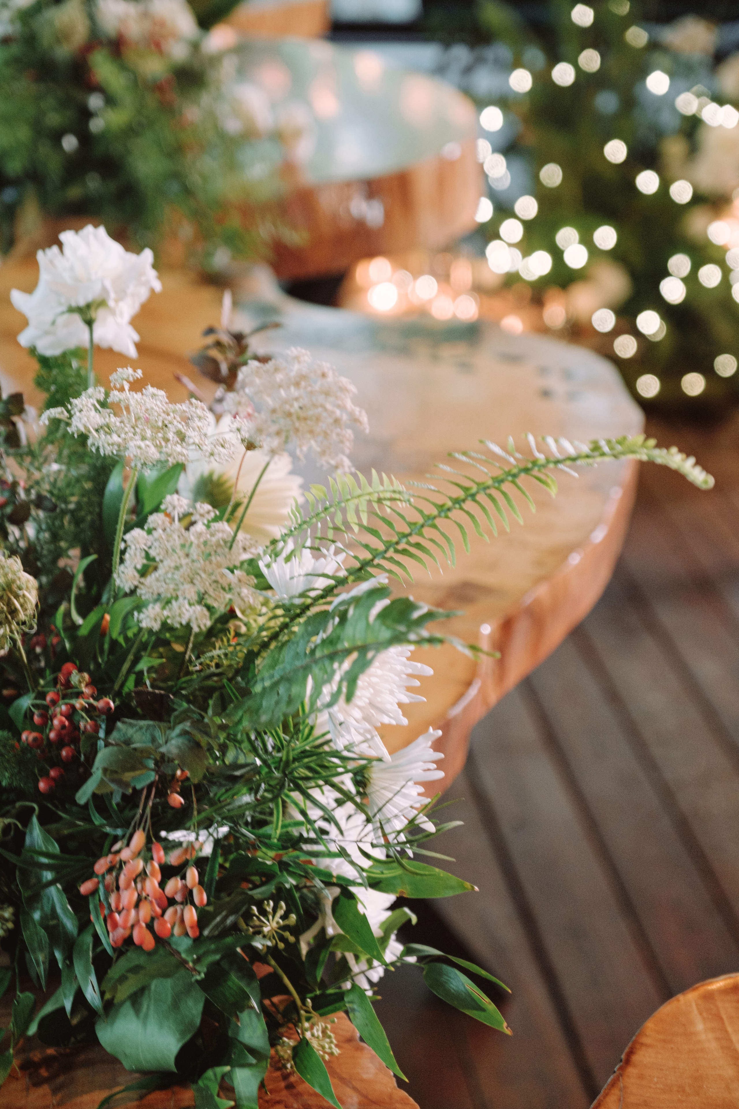 Кот и Дракон. Свадебный Видеограф Фотограф в Сочи