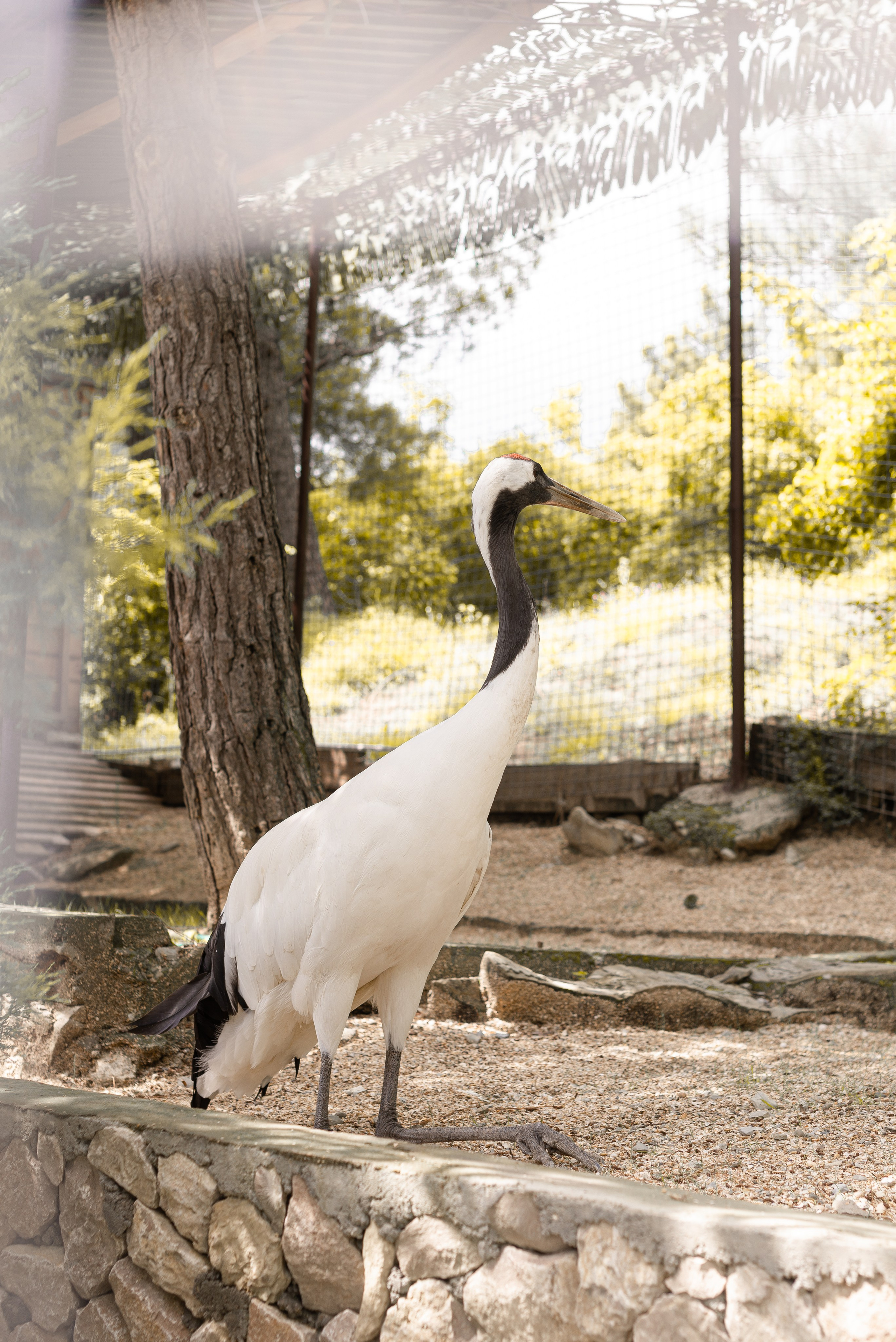 Июнь–Июль Отпуск Белореченск, Геленджик. Семейный, Свадебный фотограф СПБ Питер— Романова Екатерина