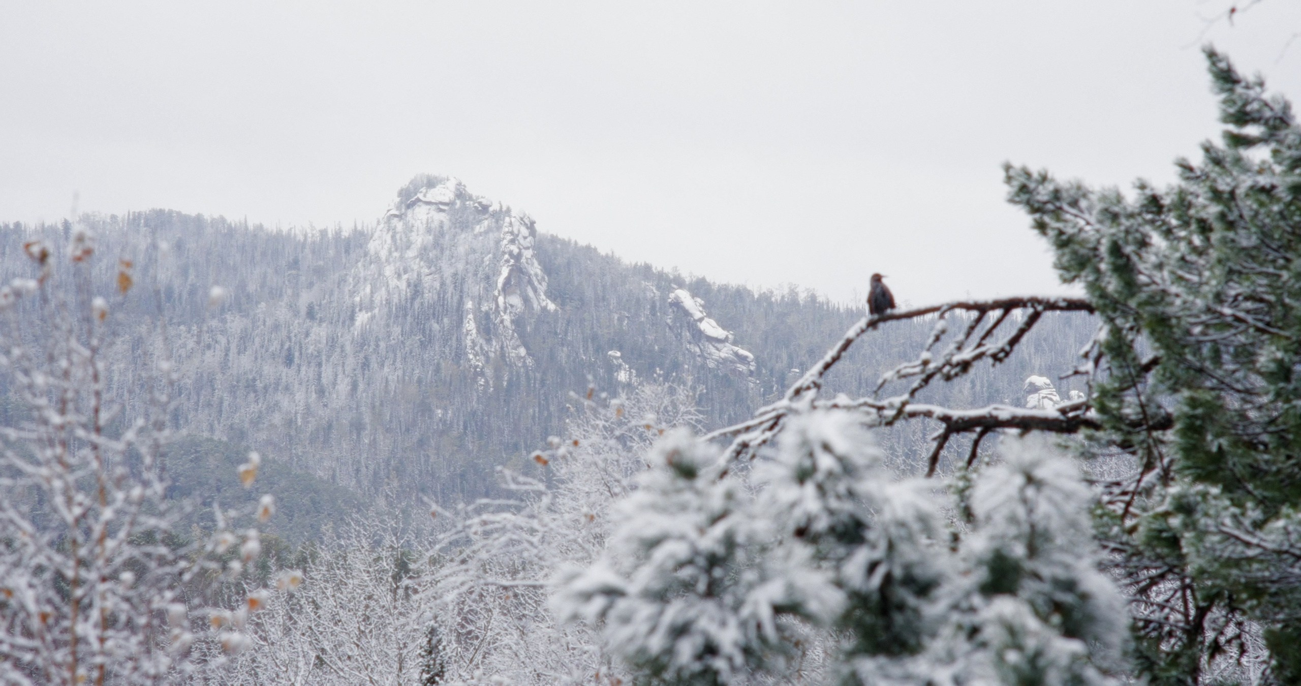 Крепче камня. Василий Буйлов|Vasilii Builov