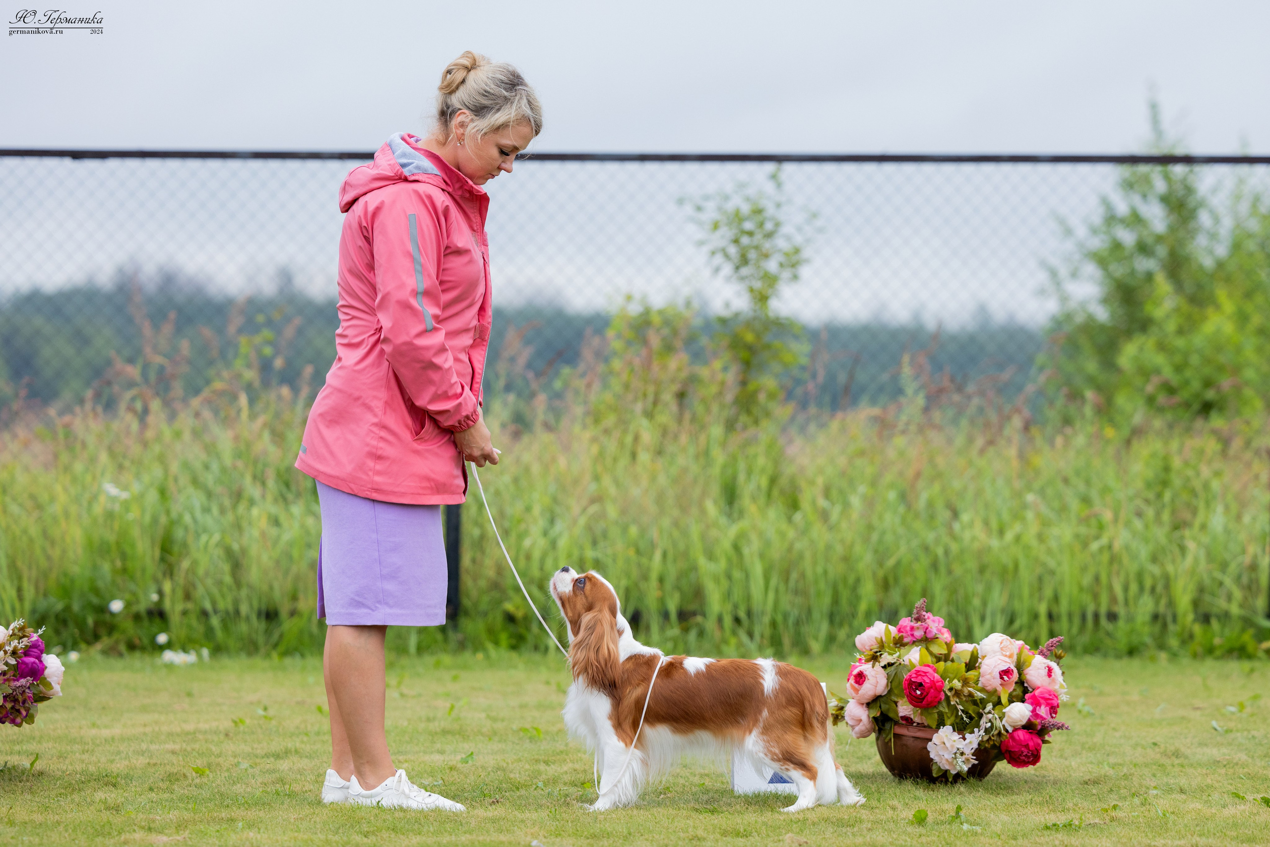 Ярославль 21.07.24 и Балашиха 13.07.24. Фотограф-анималист Юлия Германика