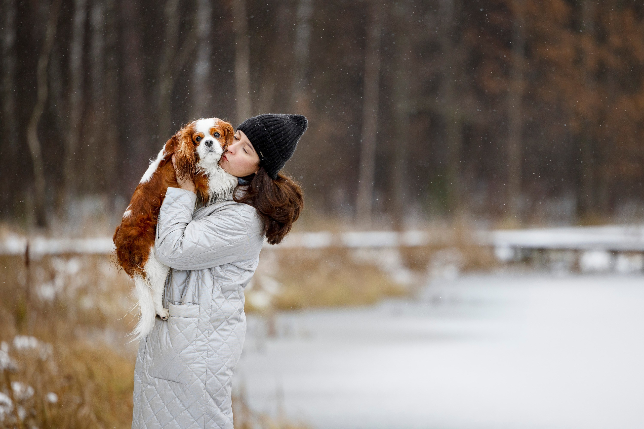 Кавалер Кинг Чарльз Спаниель и Людмила. Фотограф анималист, семейный фотограф, фотограф собак Комратова Мария. г. Москва