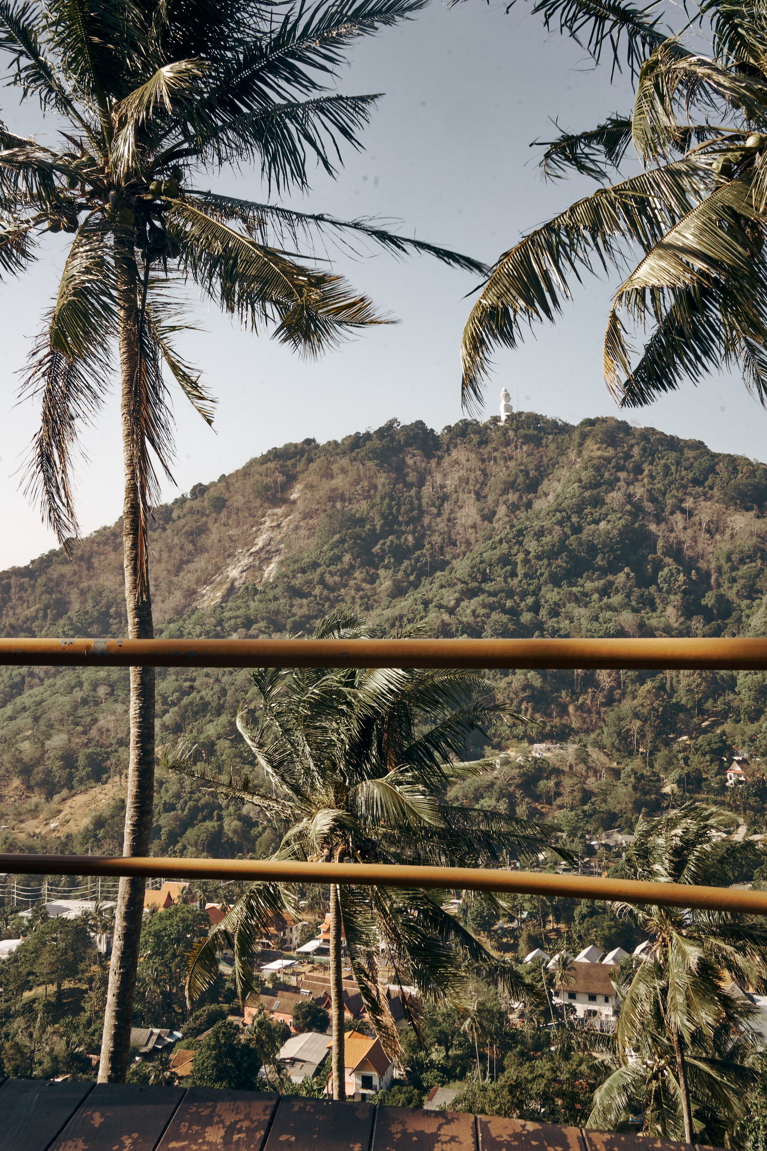 Jungle Farm. Mayskaya photography