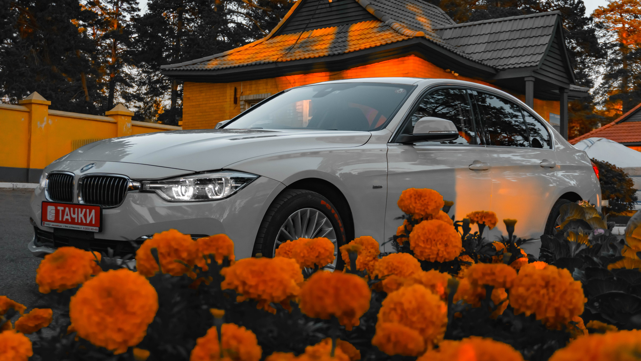 BMW 3 Series. SHDEN — Photographer | Content Creator