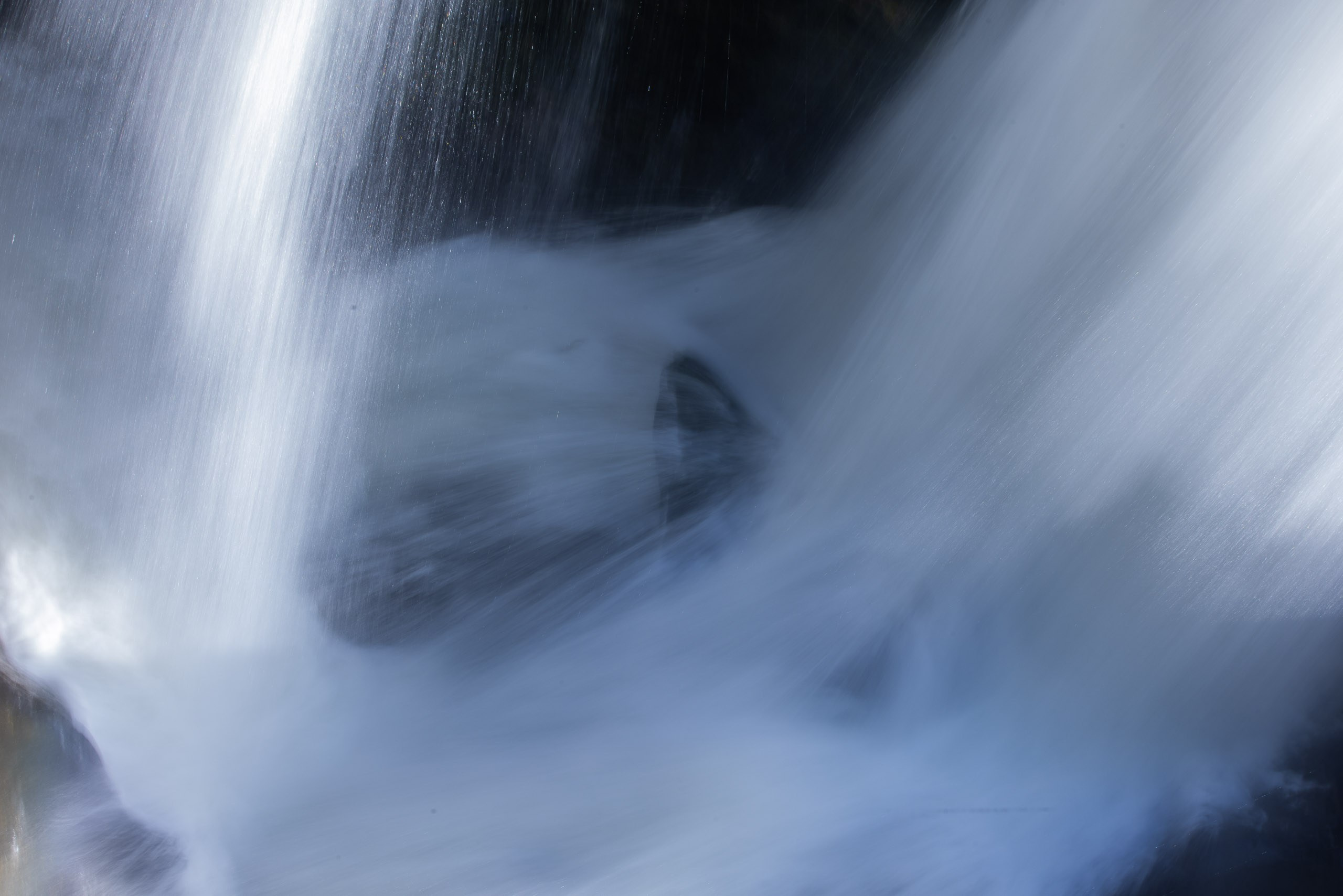 Пейзажная съемка природного заповедника. Промышленный фотограф, фоторепортаж, Россия