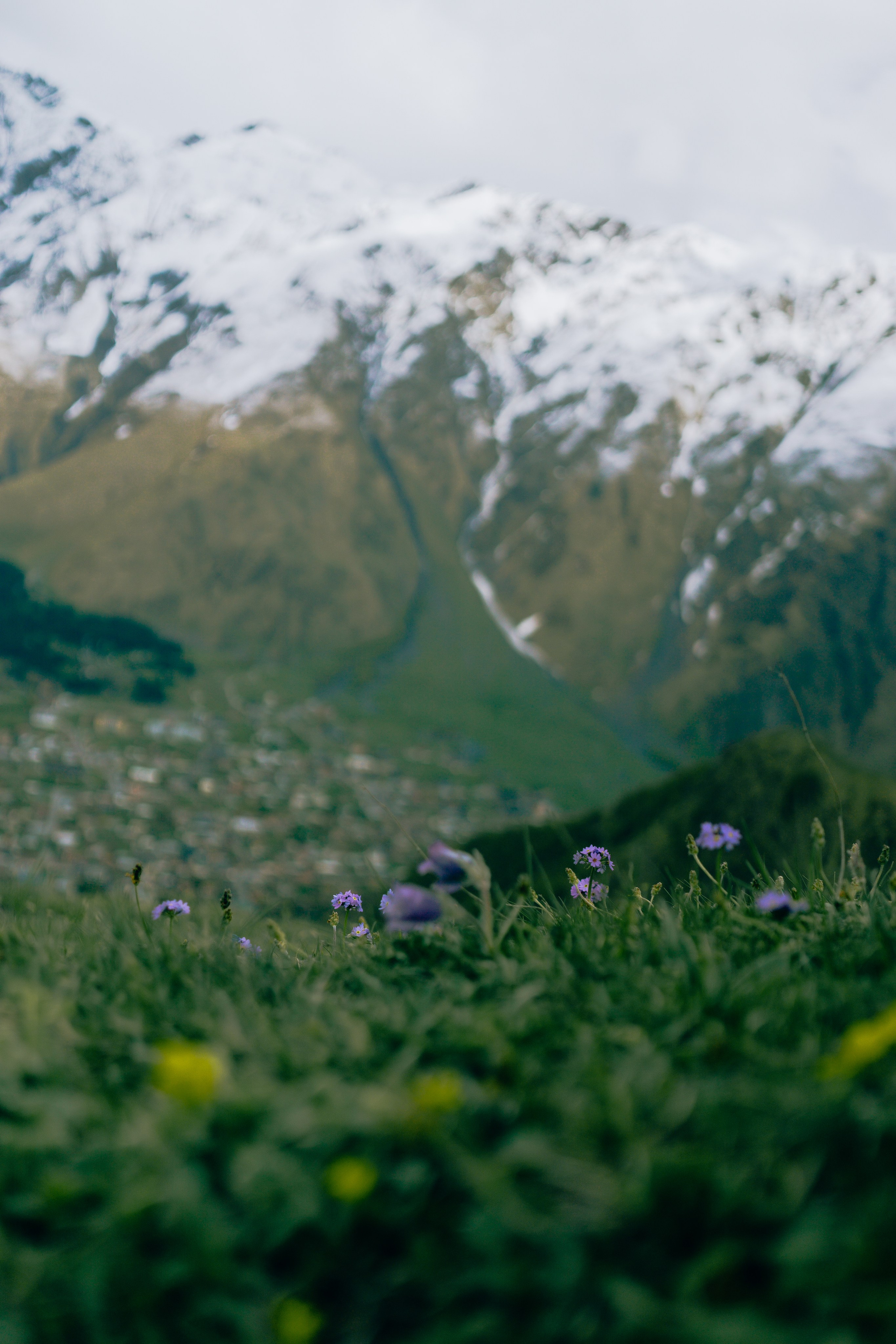 Wallpapers. Фотограф Казань