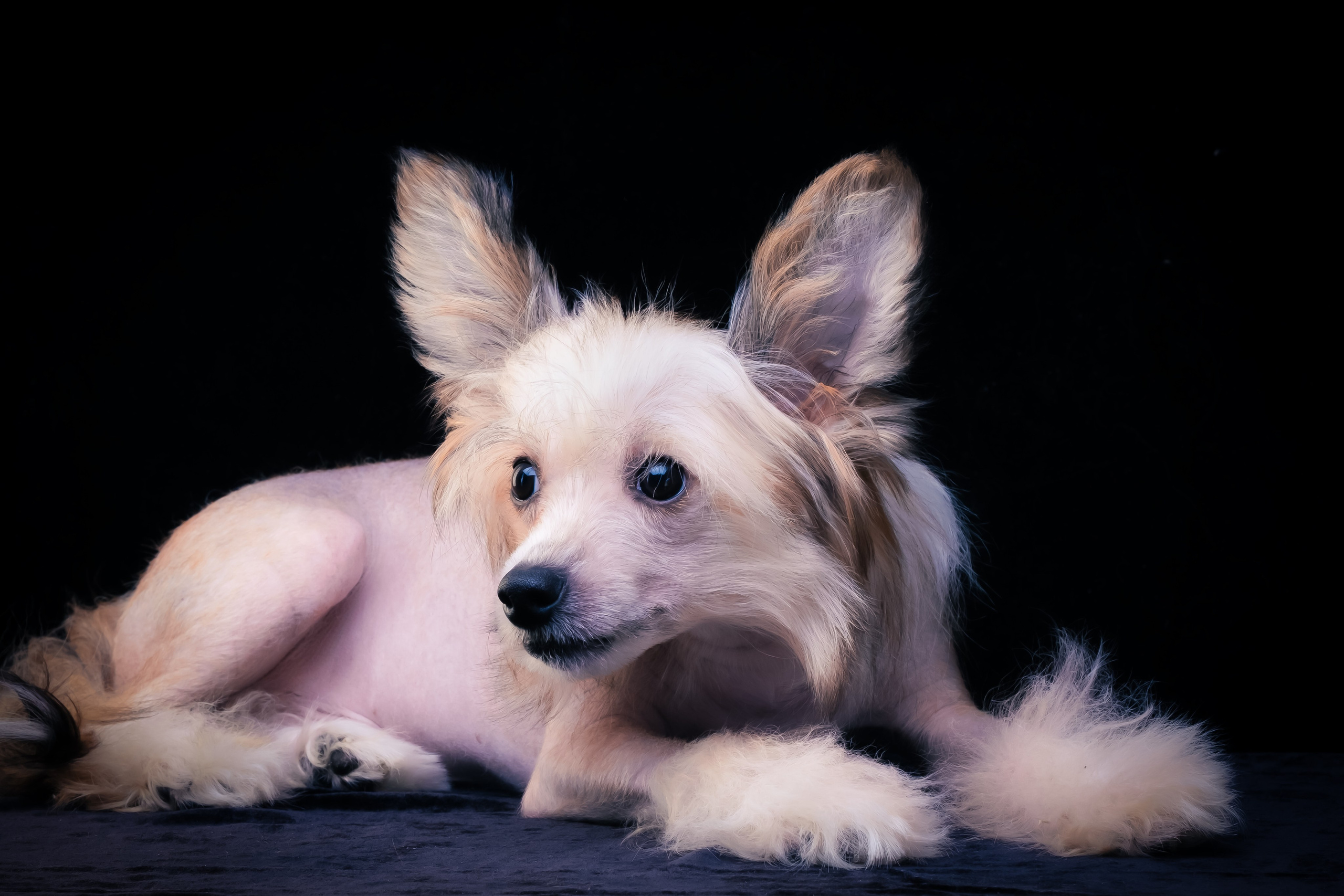 Фотограф в Москве